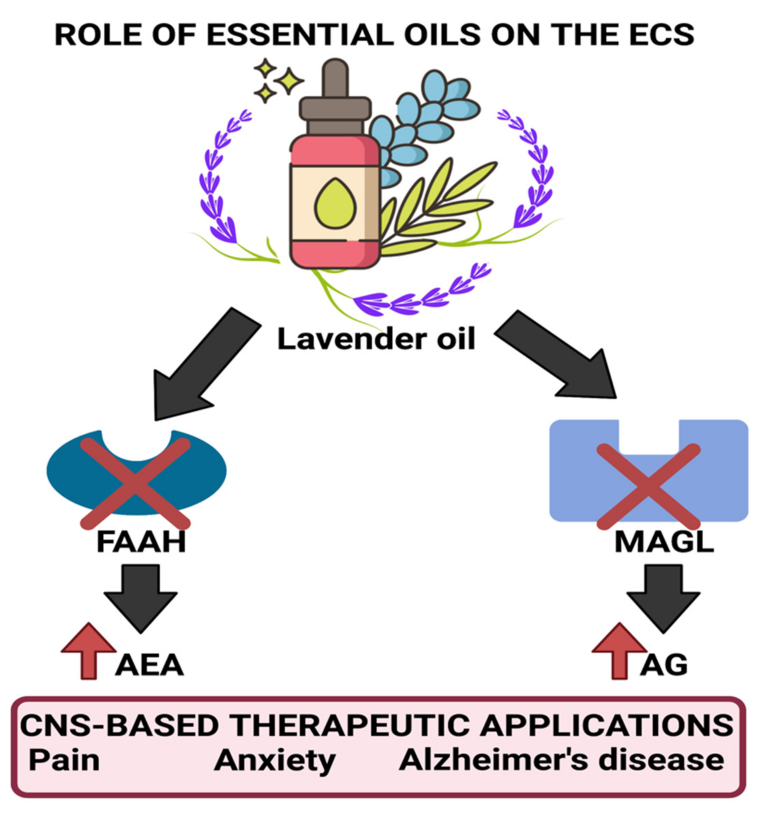 Plants 11 00021 g004 Plants 11 00021 g004