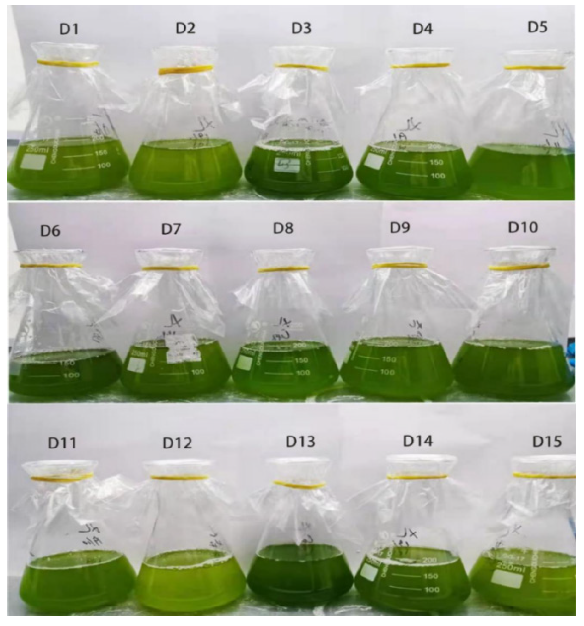 Plants 11 00027 g001