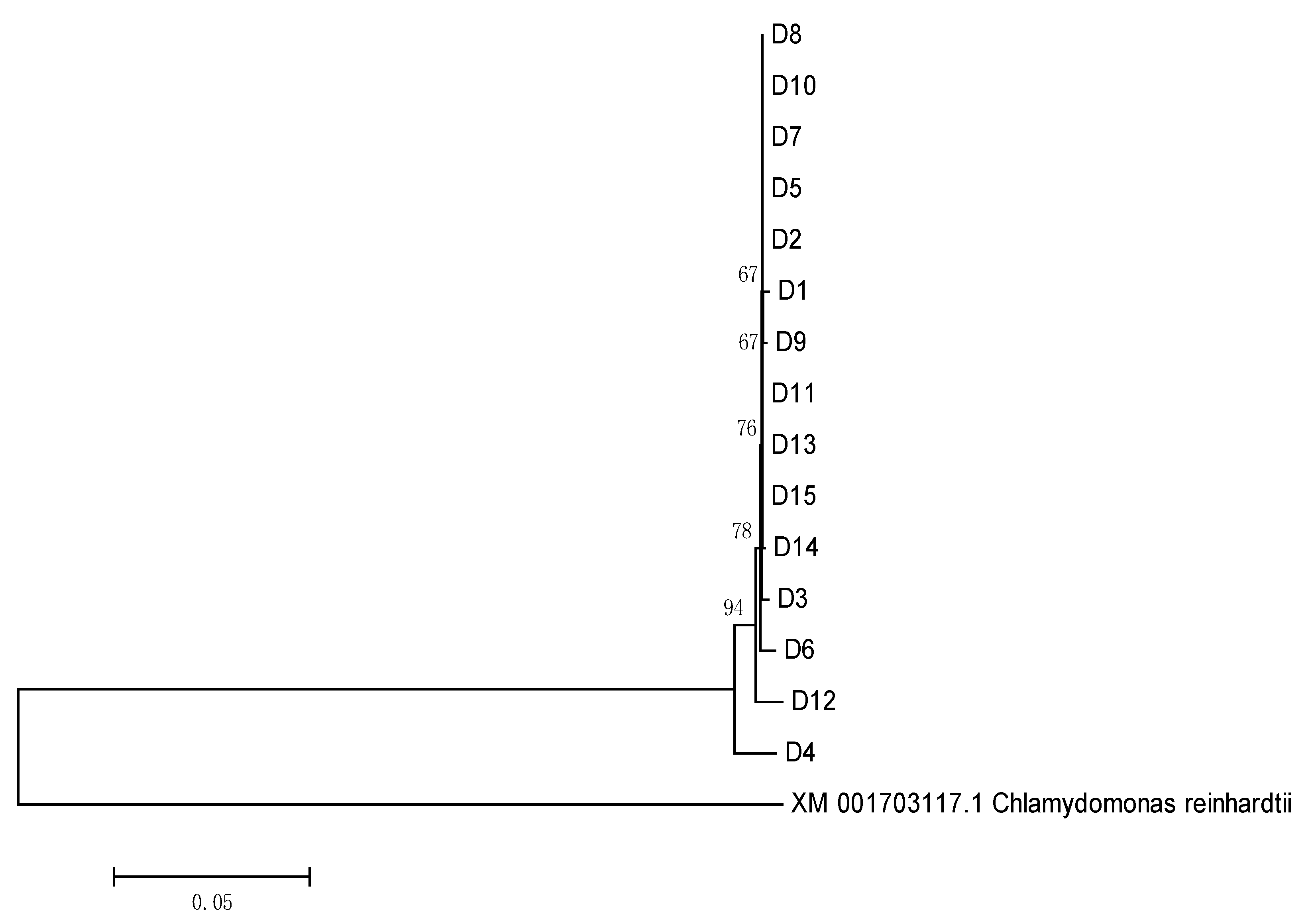 Plants 11 00027 g008