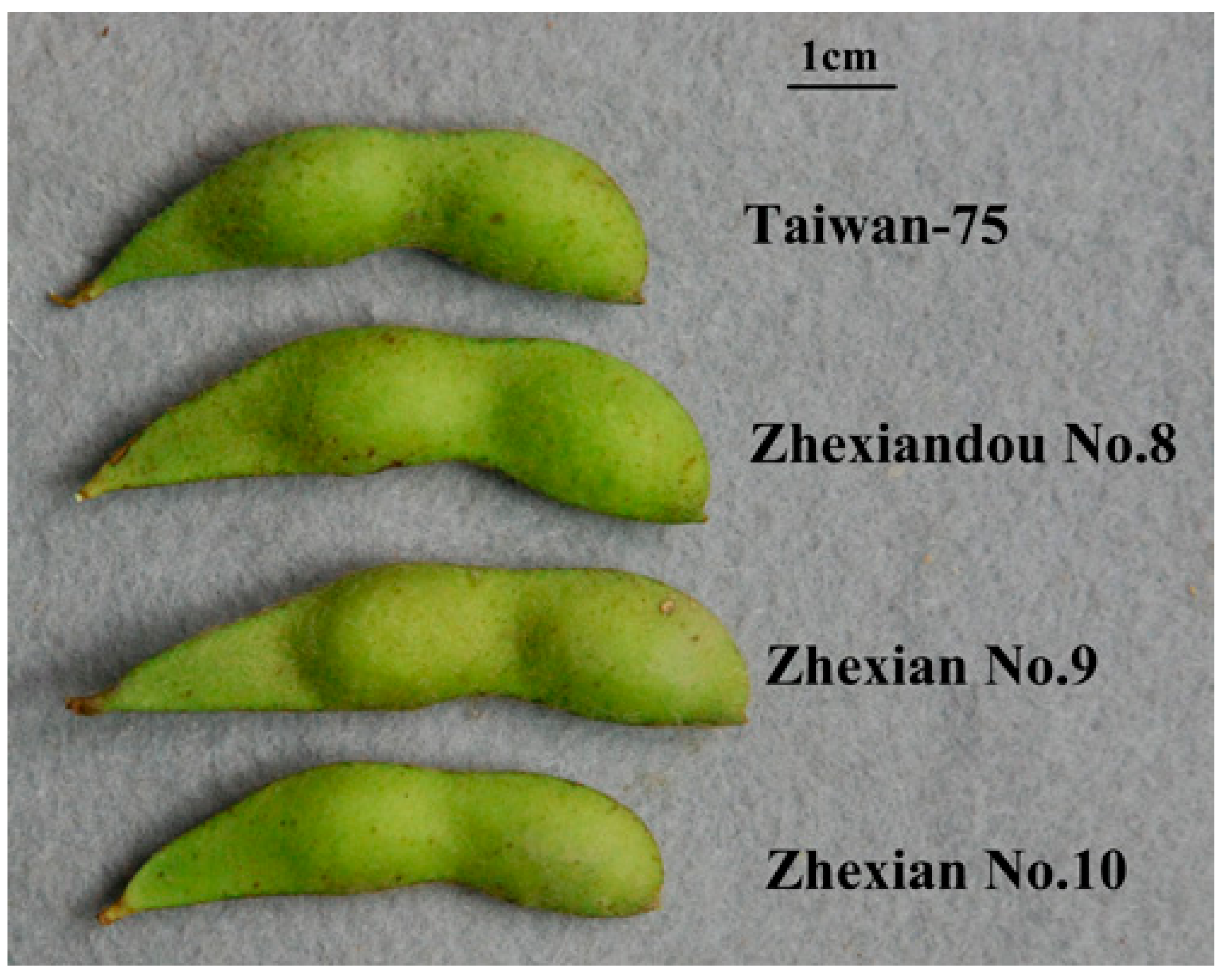 Plants 11 00028 g001