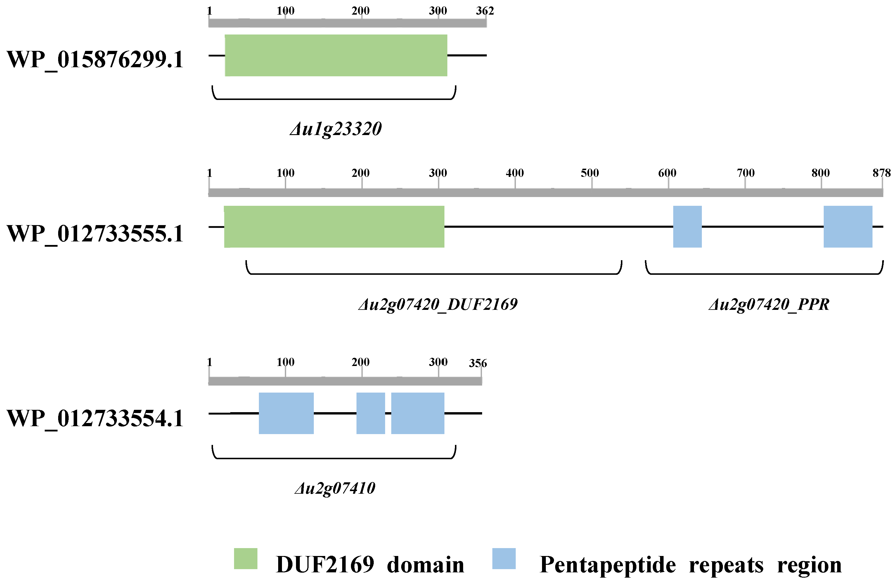 Plants 11 00034 g002