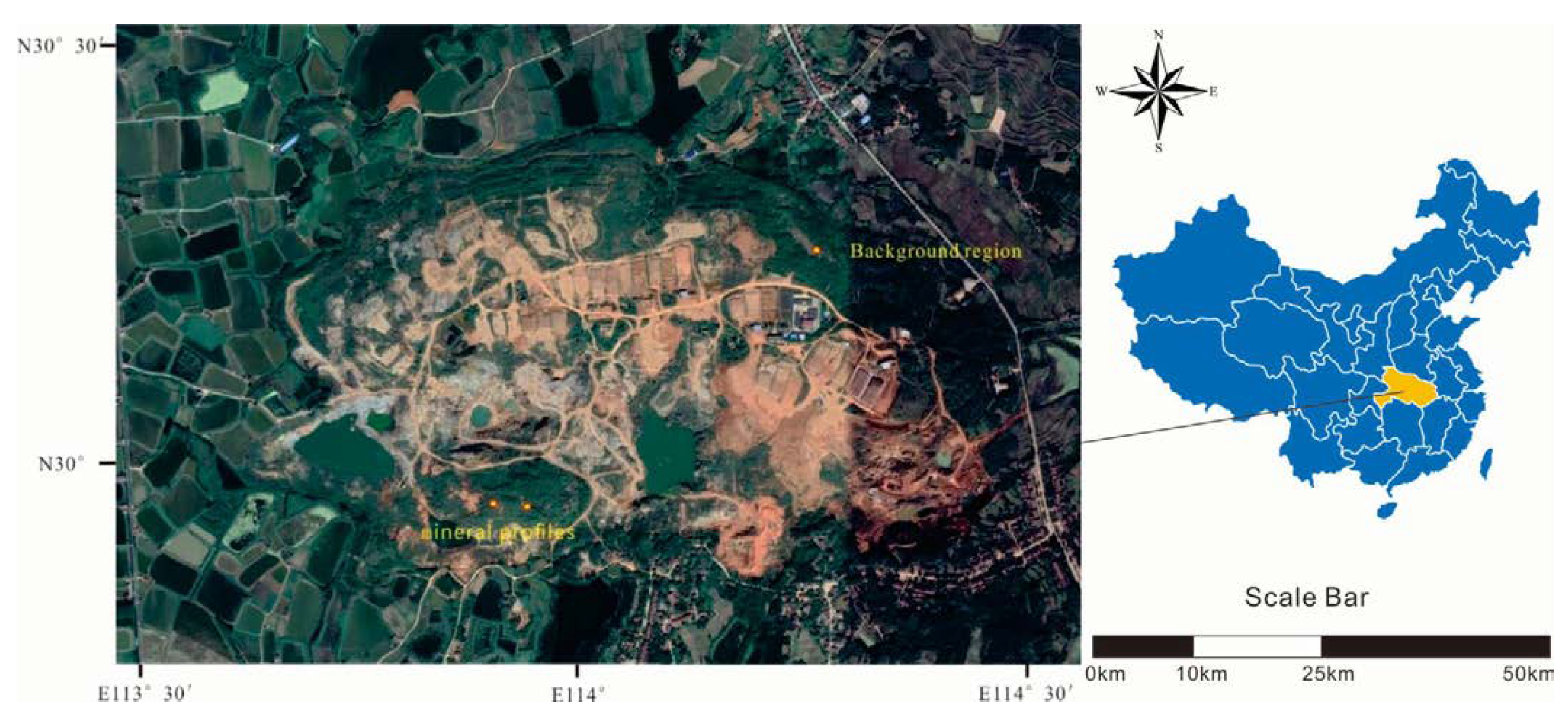 Plants 11 00038 g001 550