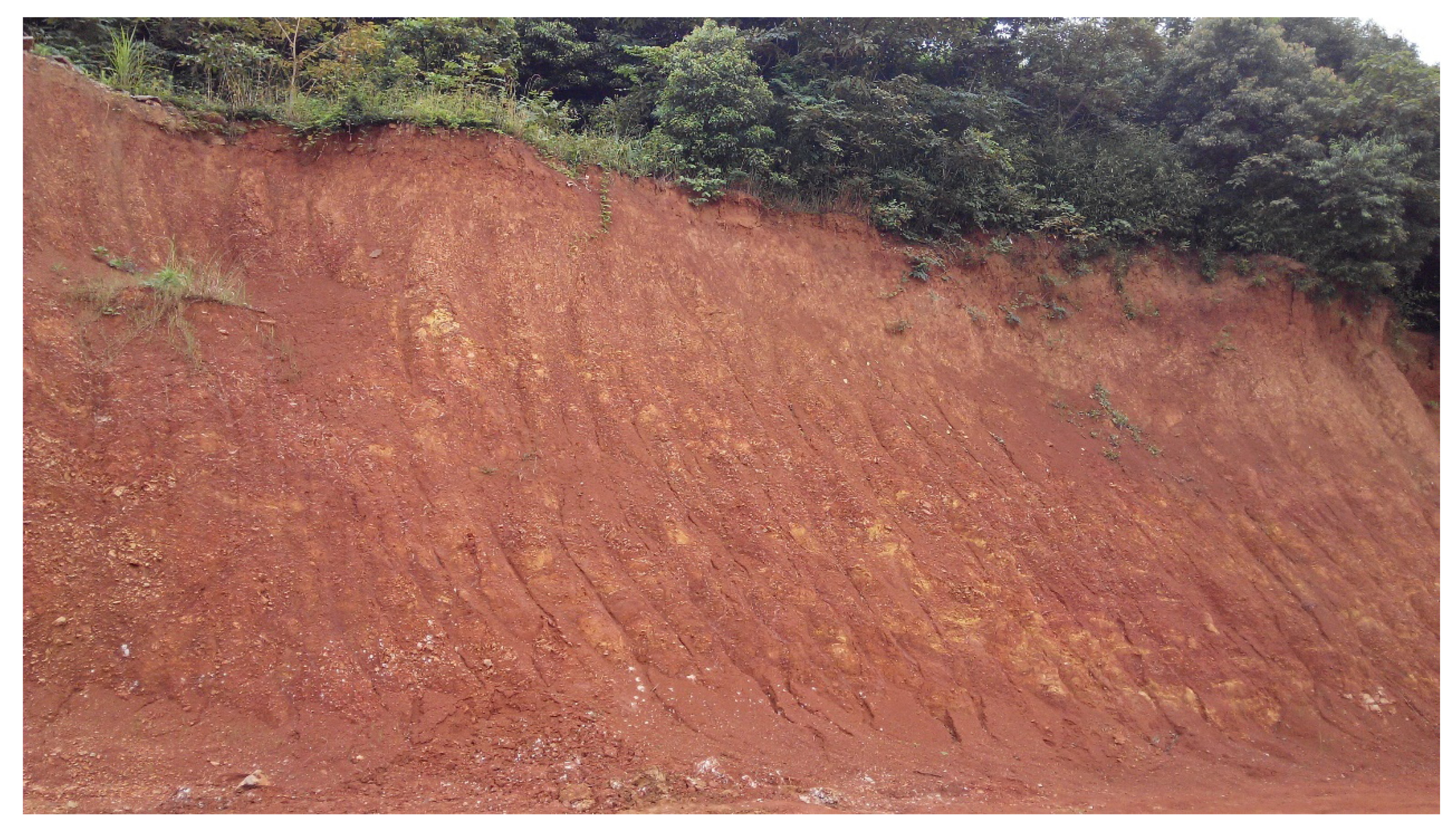 Plants 11 00038 g002 550