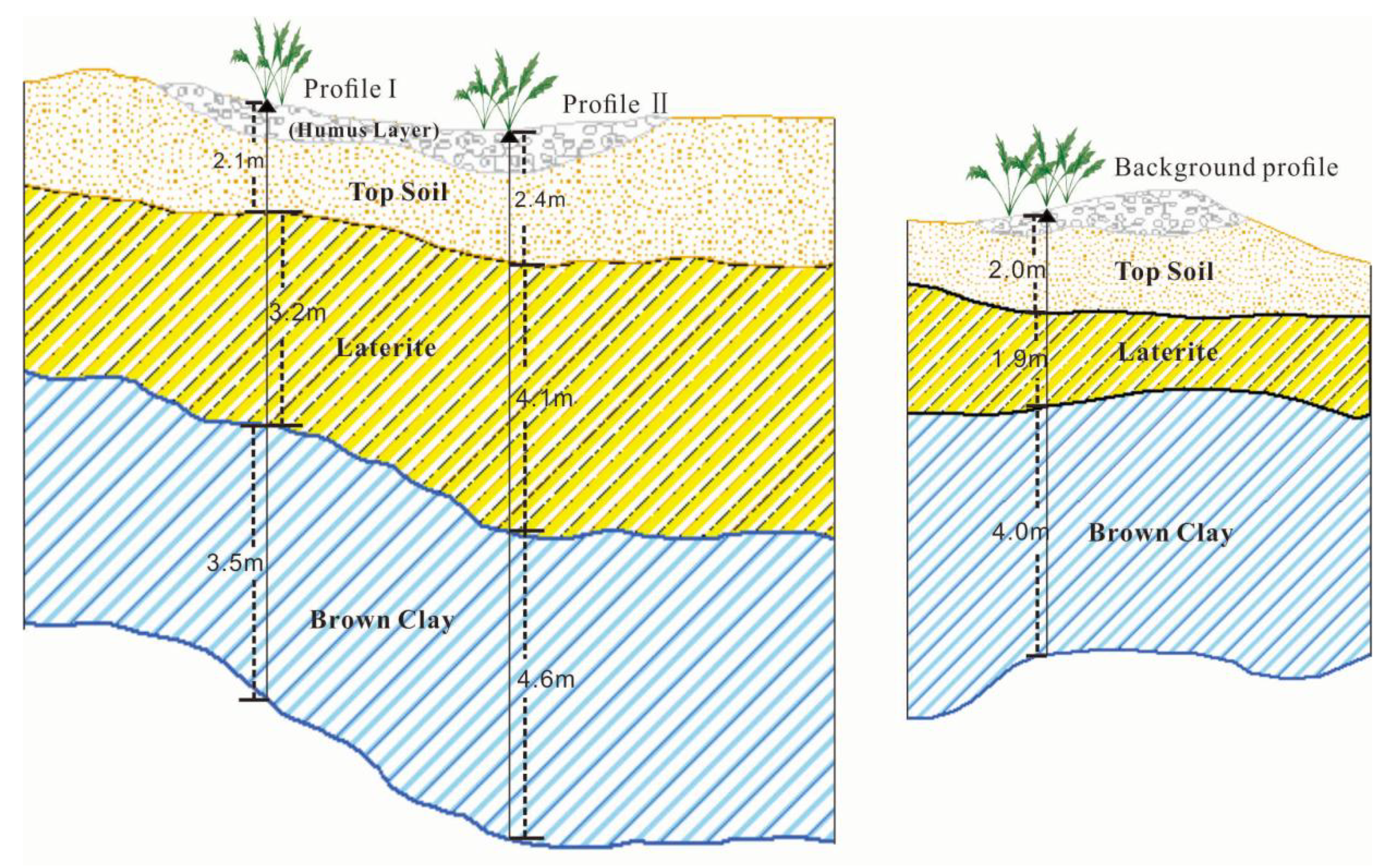 Plants 11 00038 g003 550
