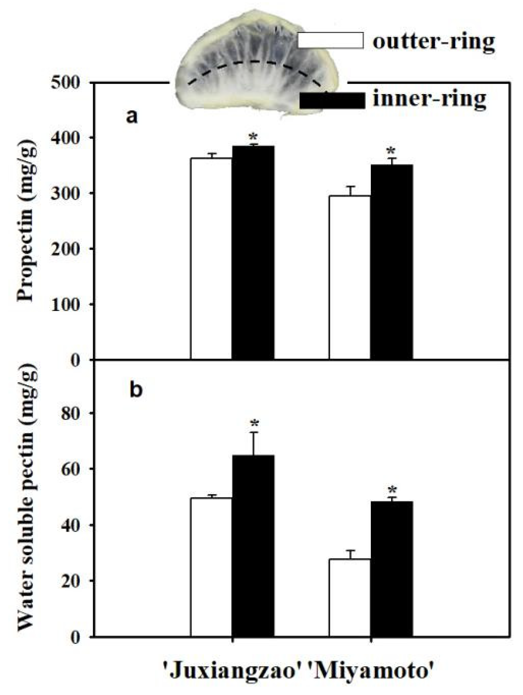 Plants 11 00039 g005 550