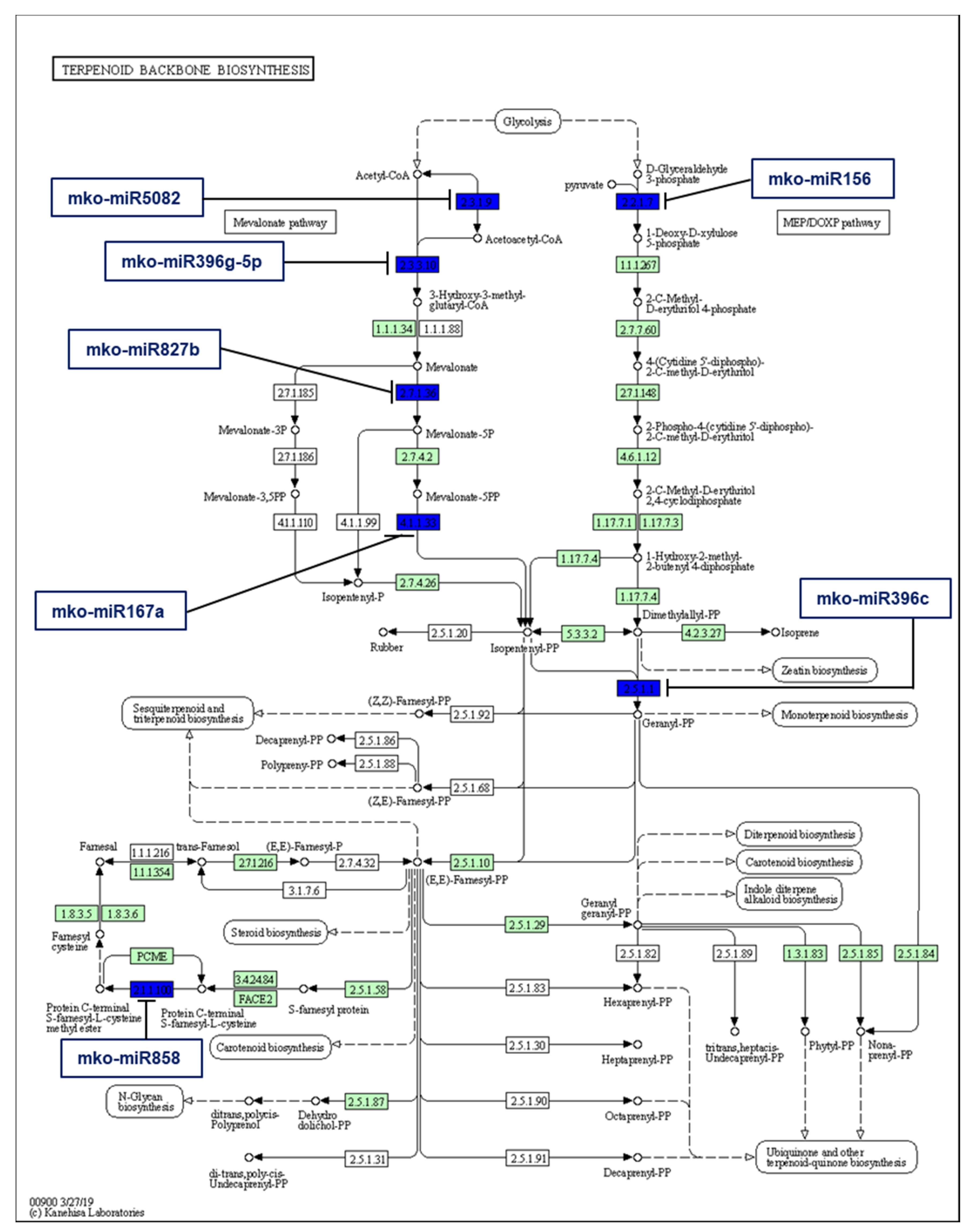 Plants 11 00046 g006