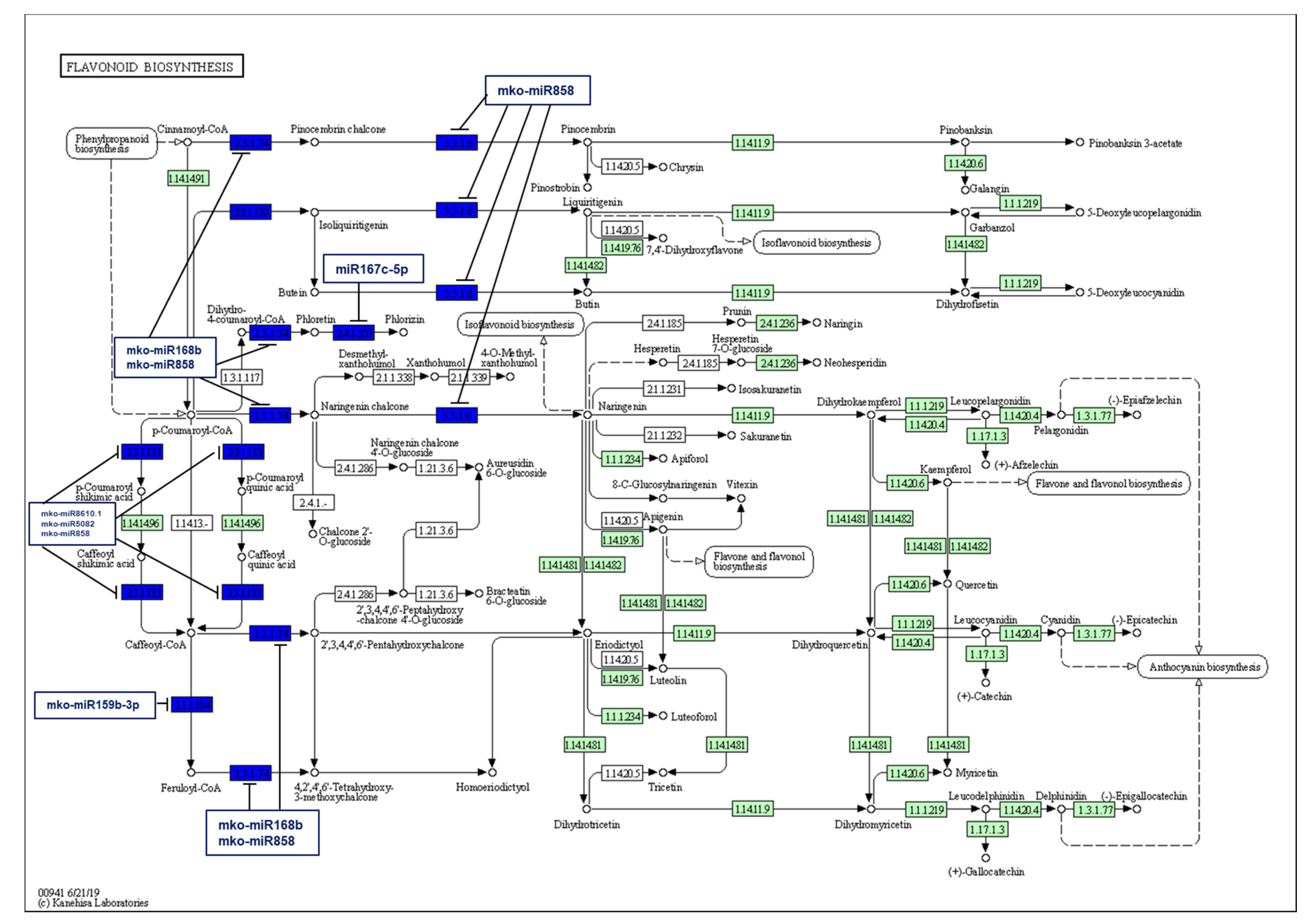 Plants 11 00046 g007