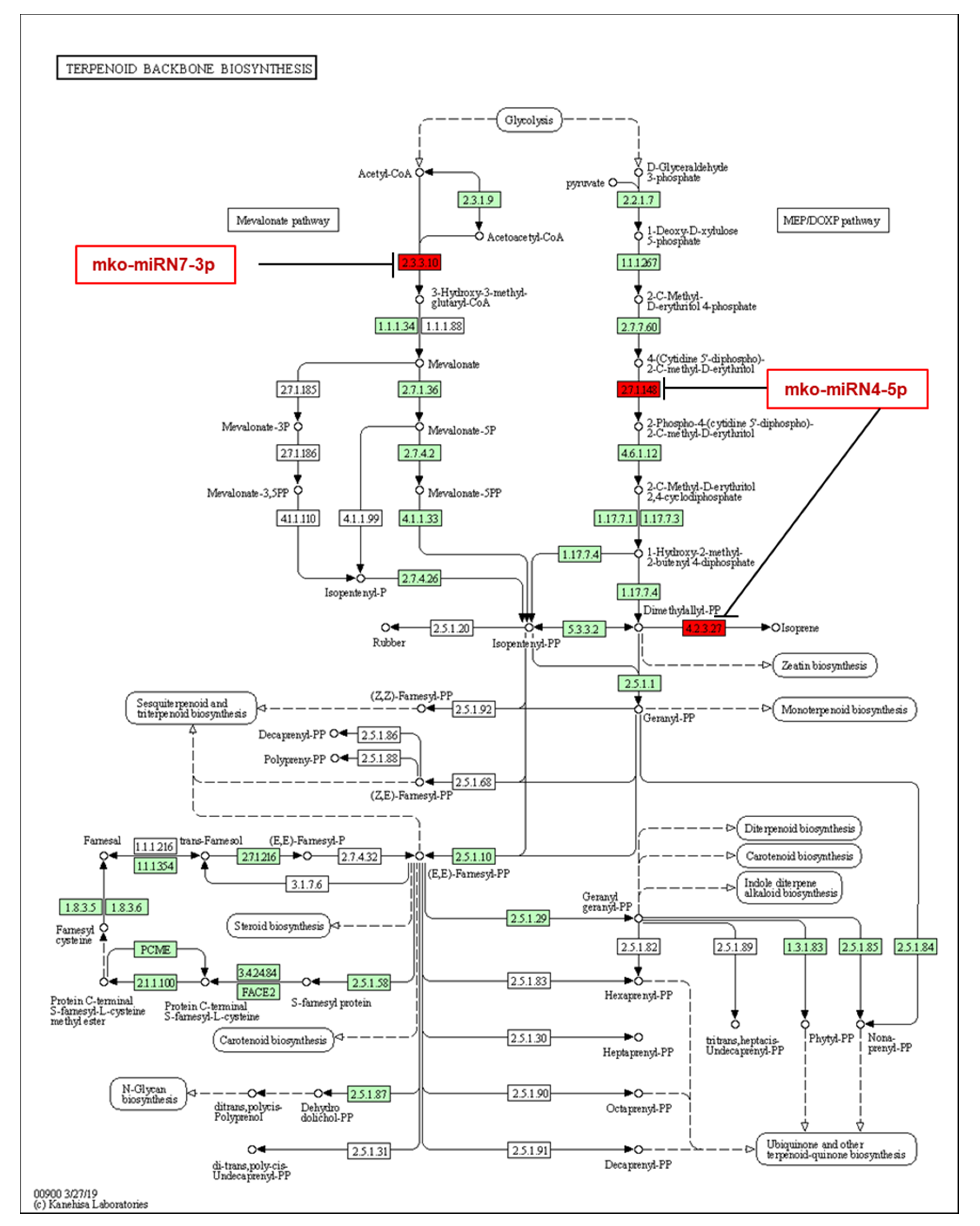 Plants 11 00046 g008