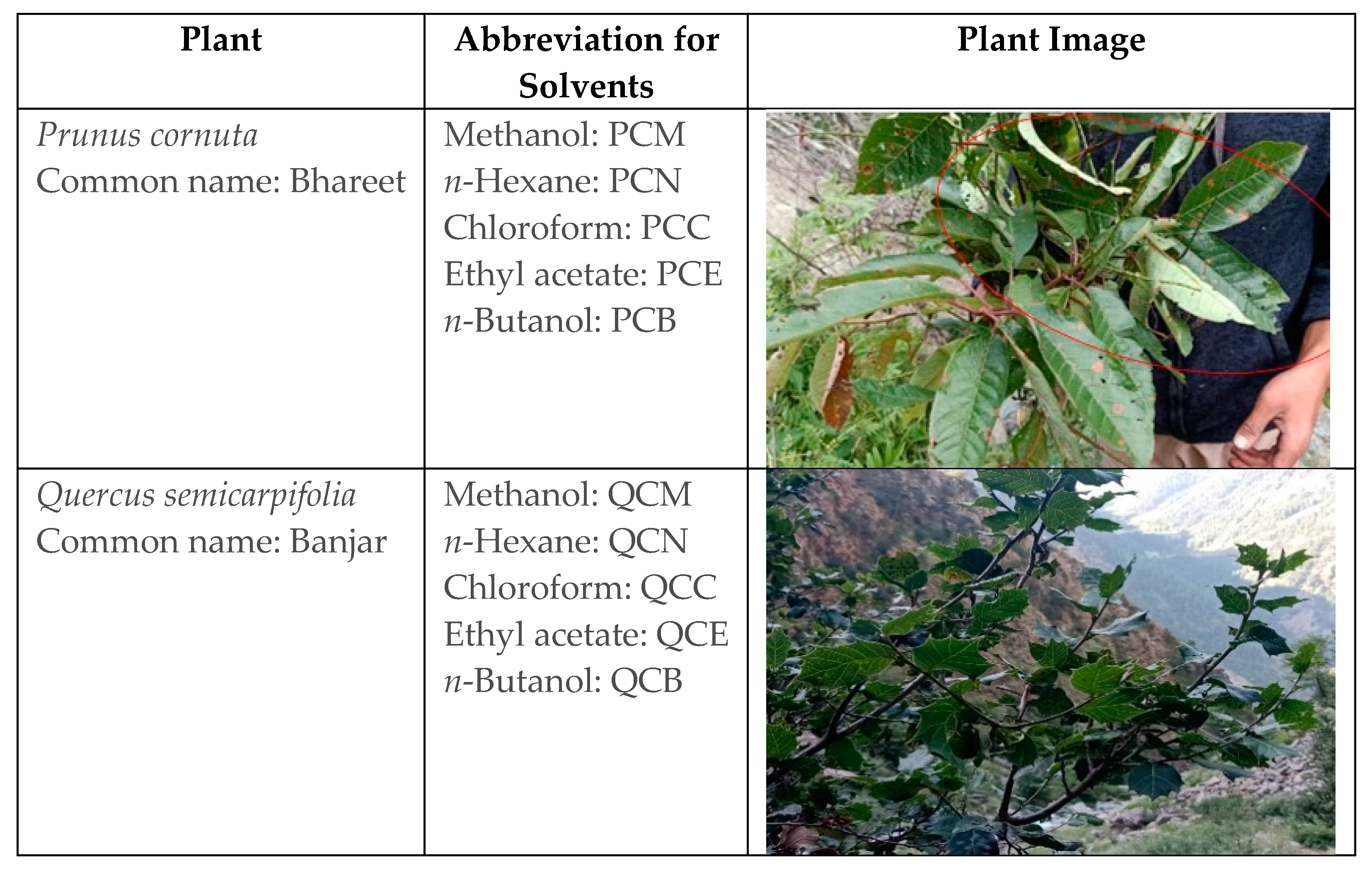 Plants 11 00048 g001