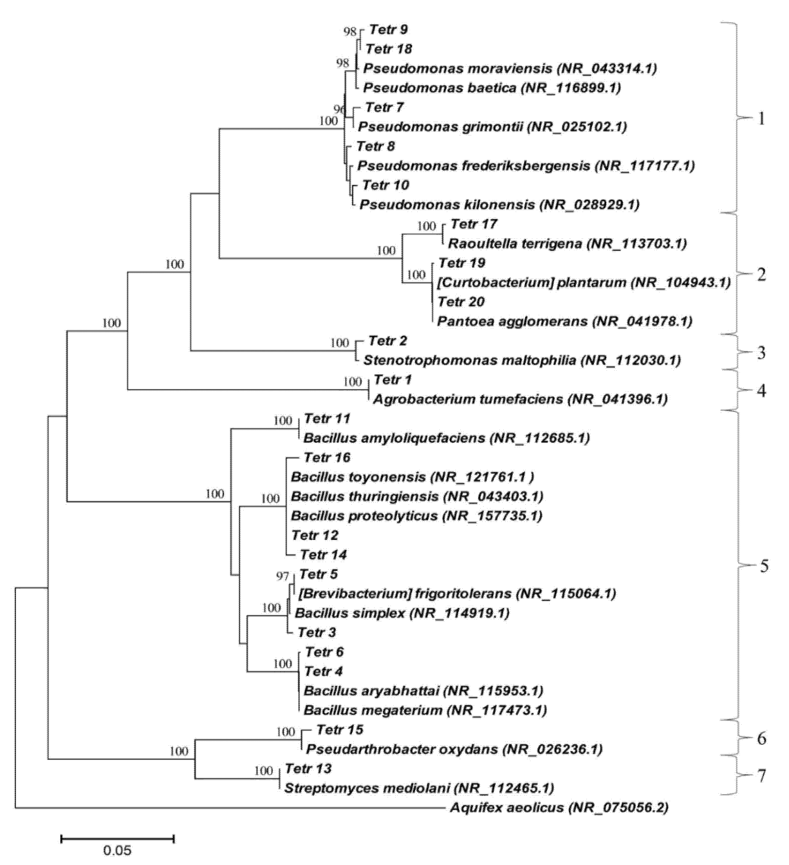 Plants 11 00049 g001