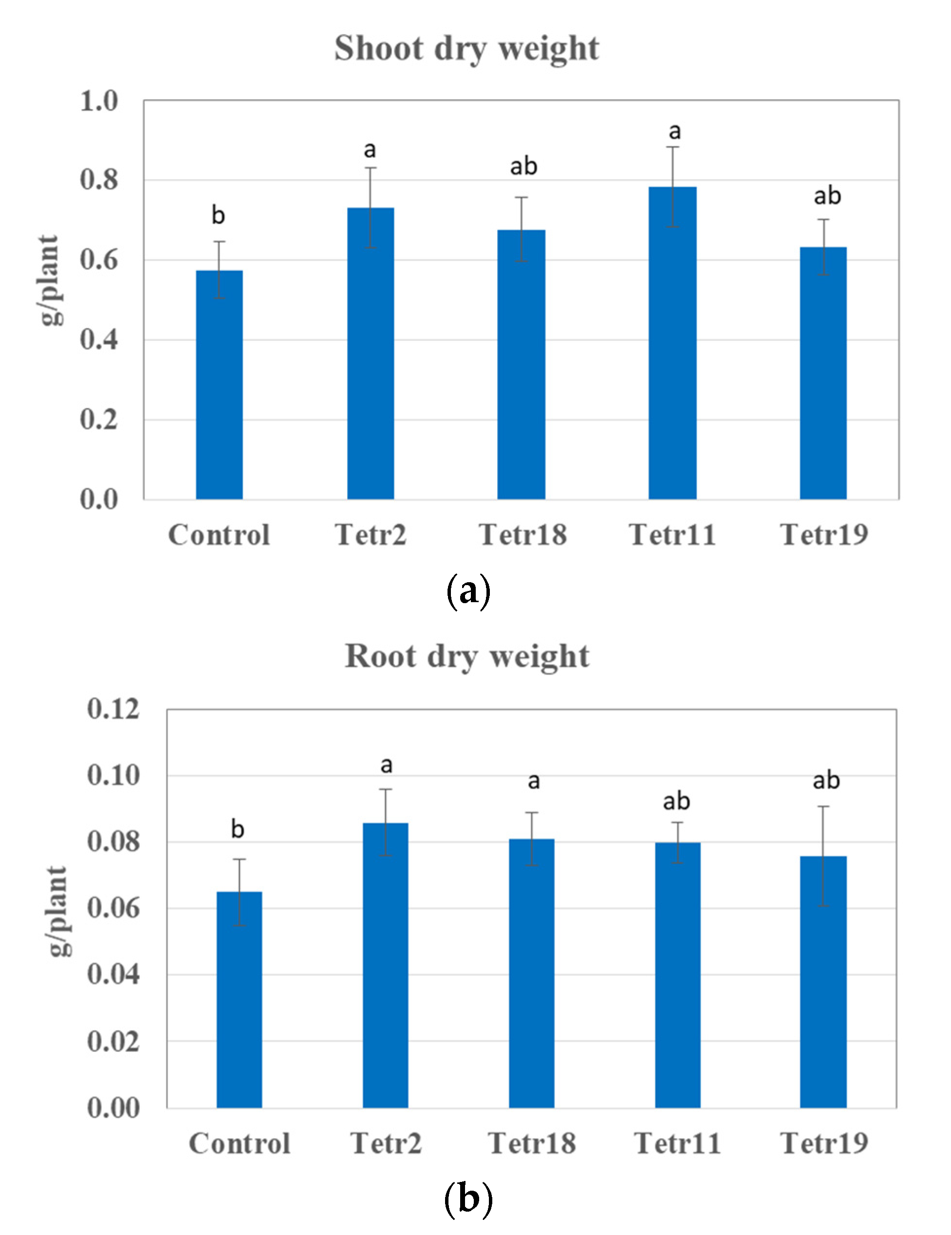 Plants 11 00049 g002