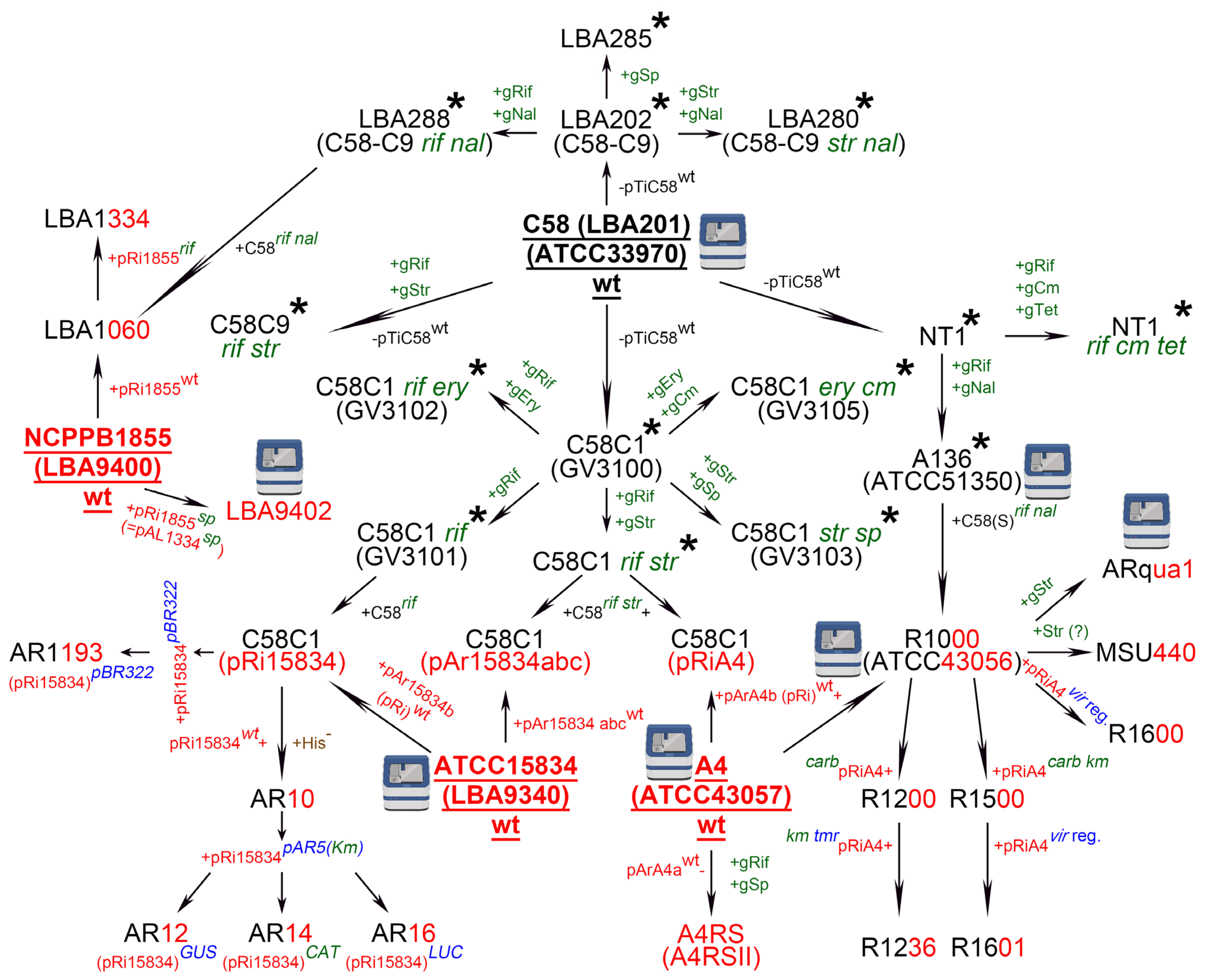 Plants 11 00051 g001 Plants 11 00051 g001