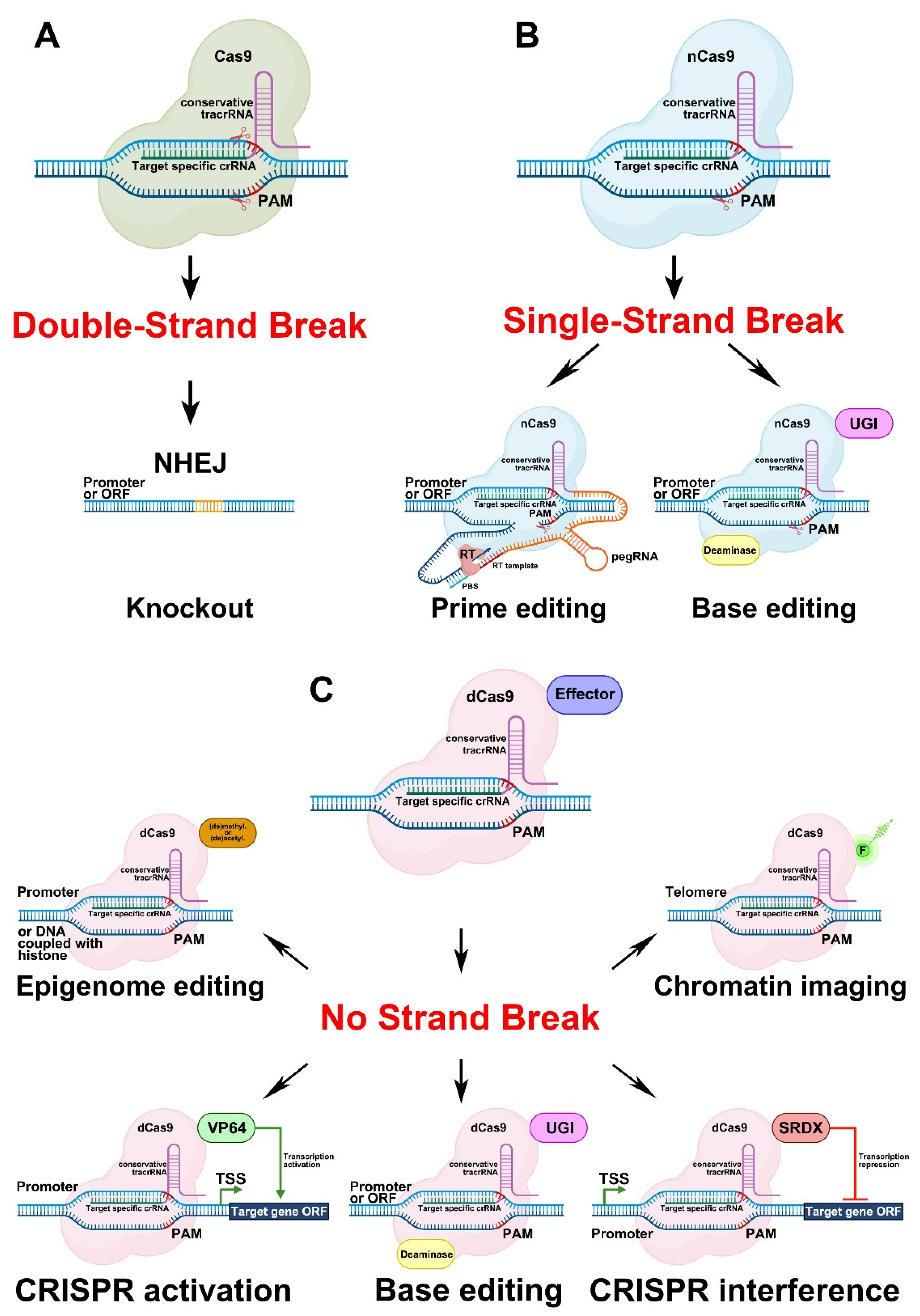 Plants 11 00051 g005 Plants 11 00051 g005