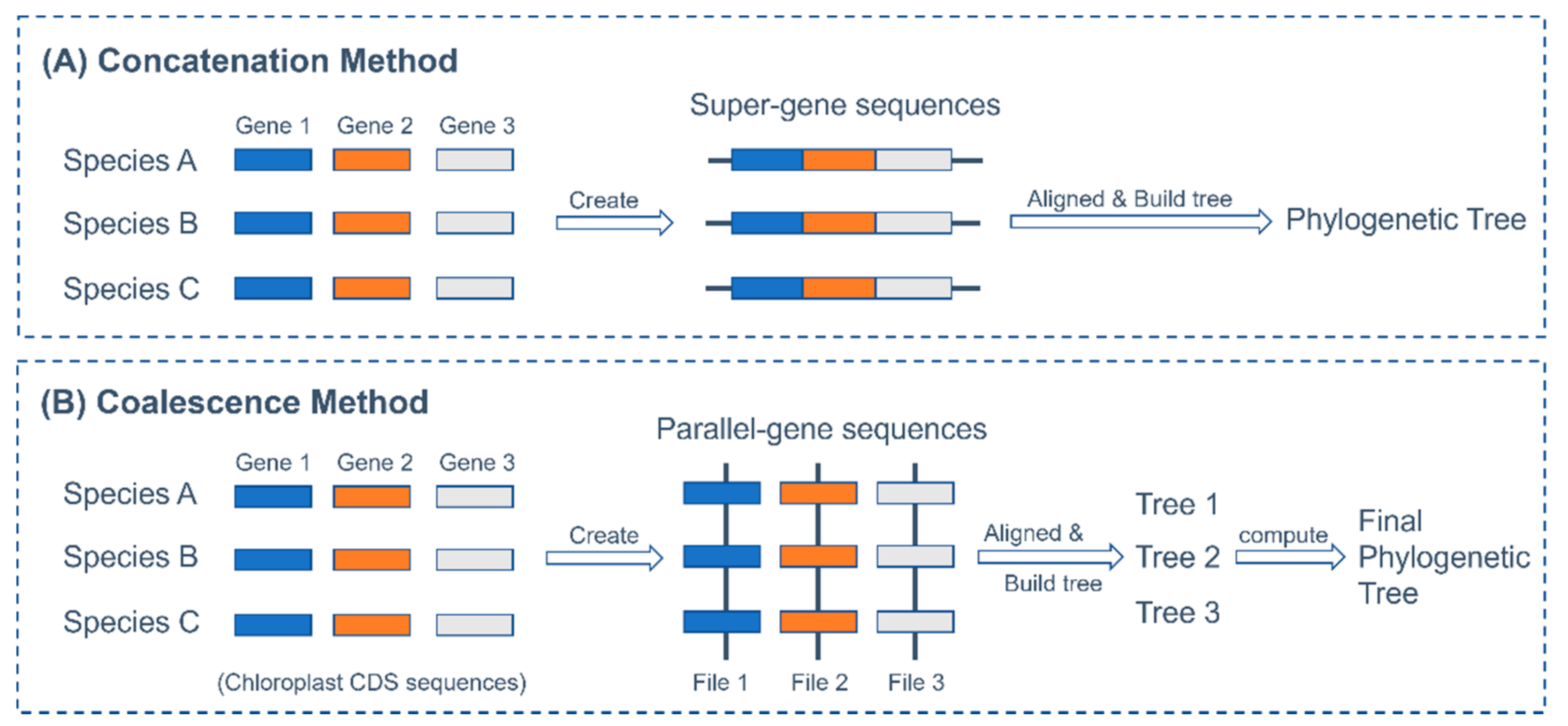 Plants 11 00052 g002
