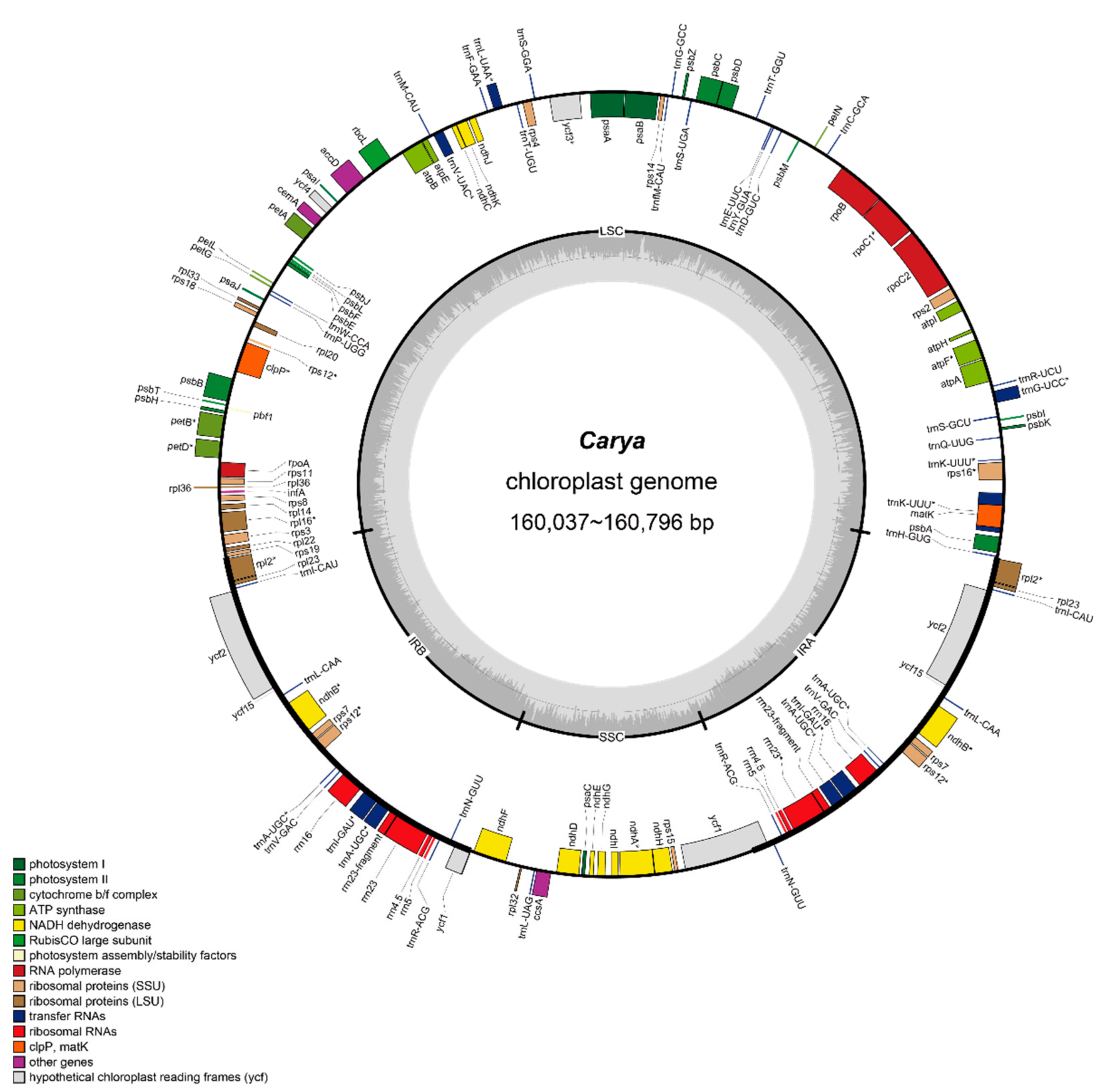 Plants 11 00052 g003