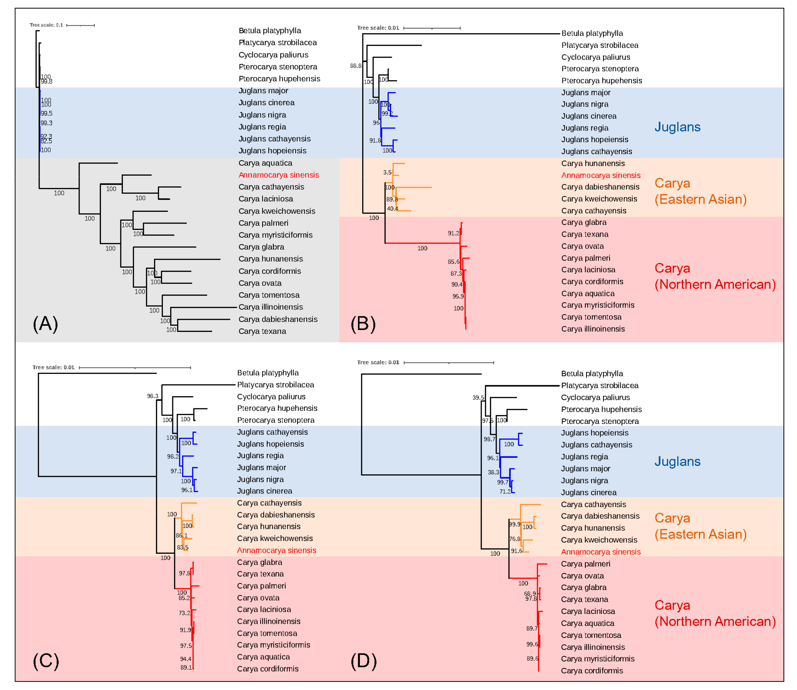 Plants 11 00052 g005