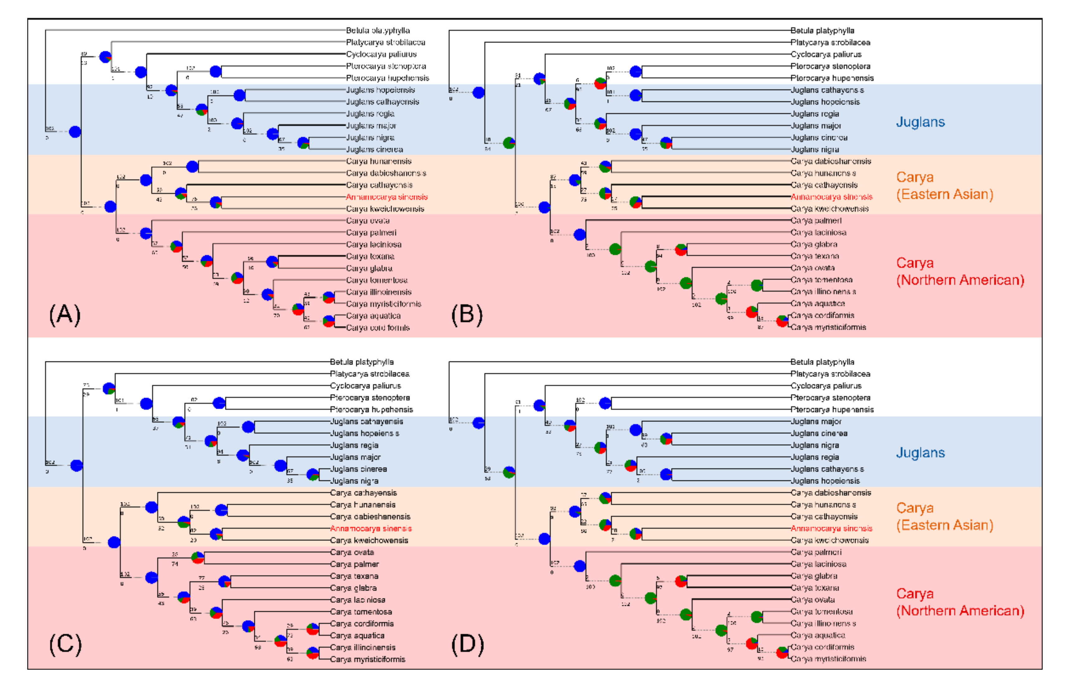 Plants 11 00052 g006