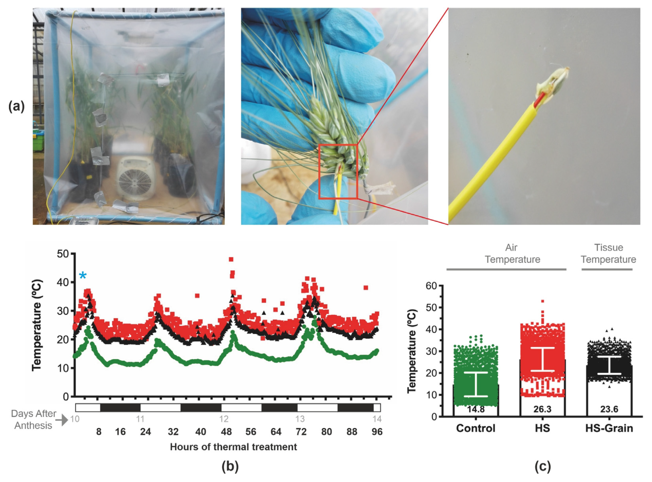 Plants 11 00059 g001