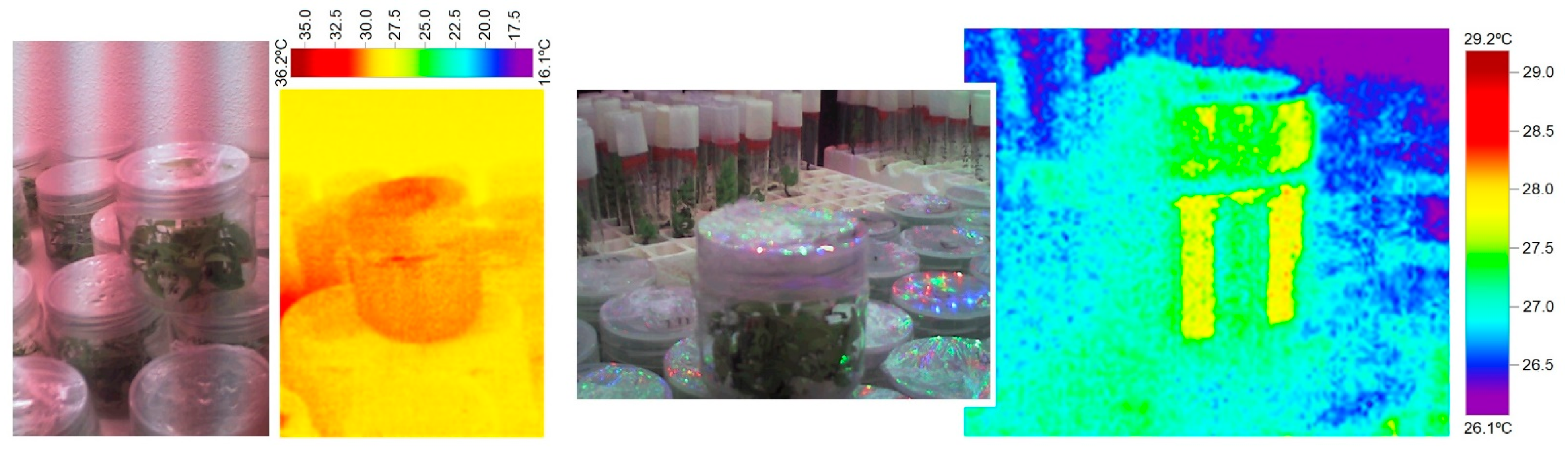 Plants 11 00060 g007 550