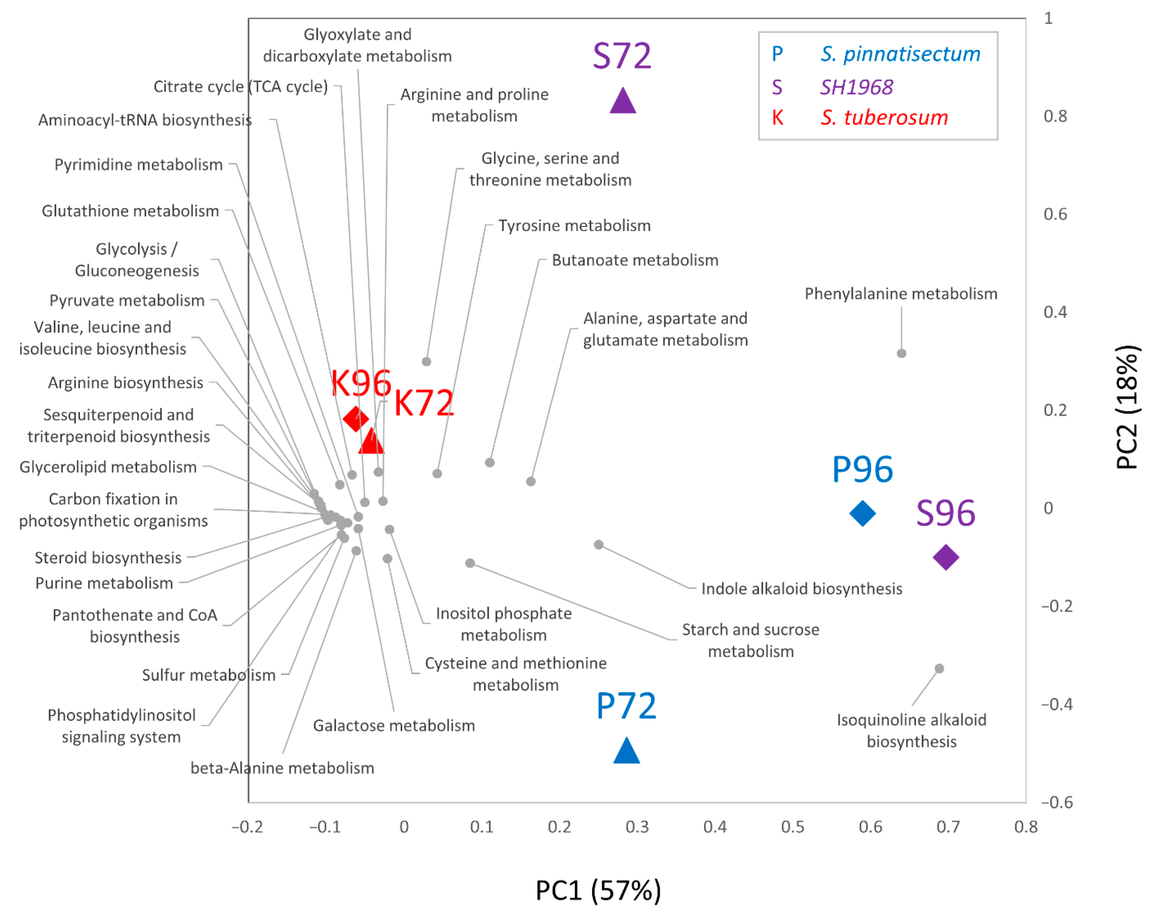 Plants 11 00061 g004