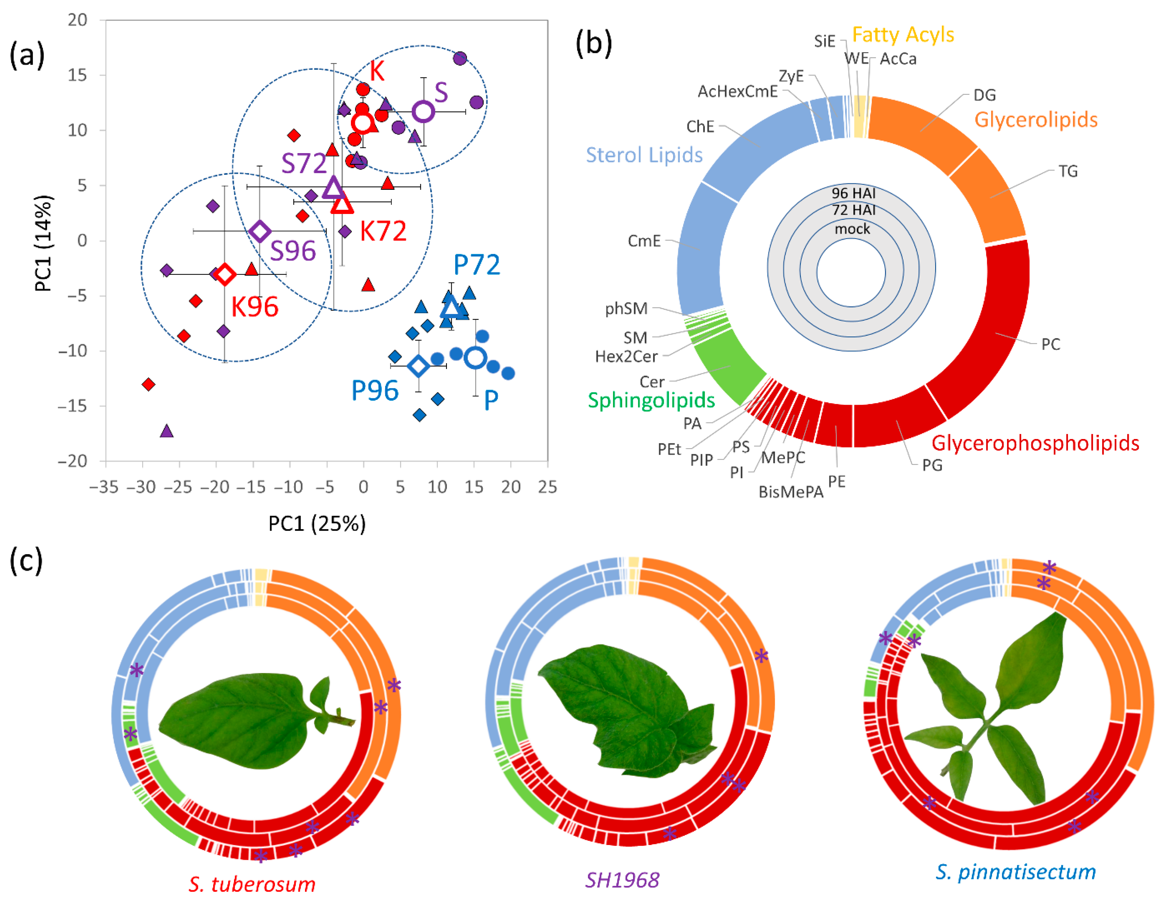 Plants 11 00061 g005