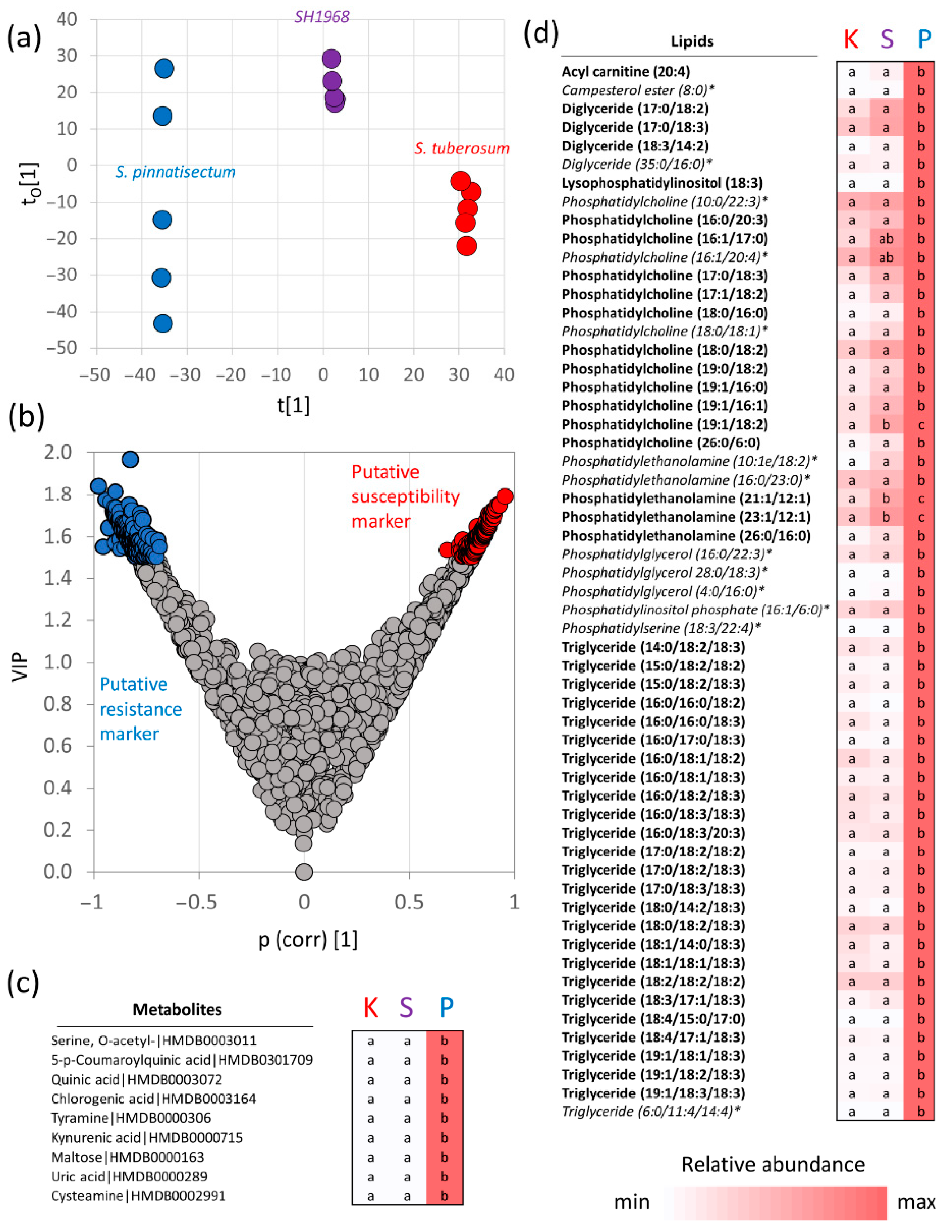 Plants 11 00061 g006