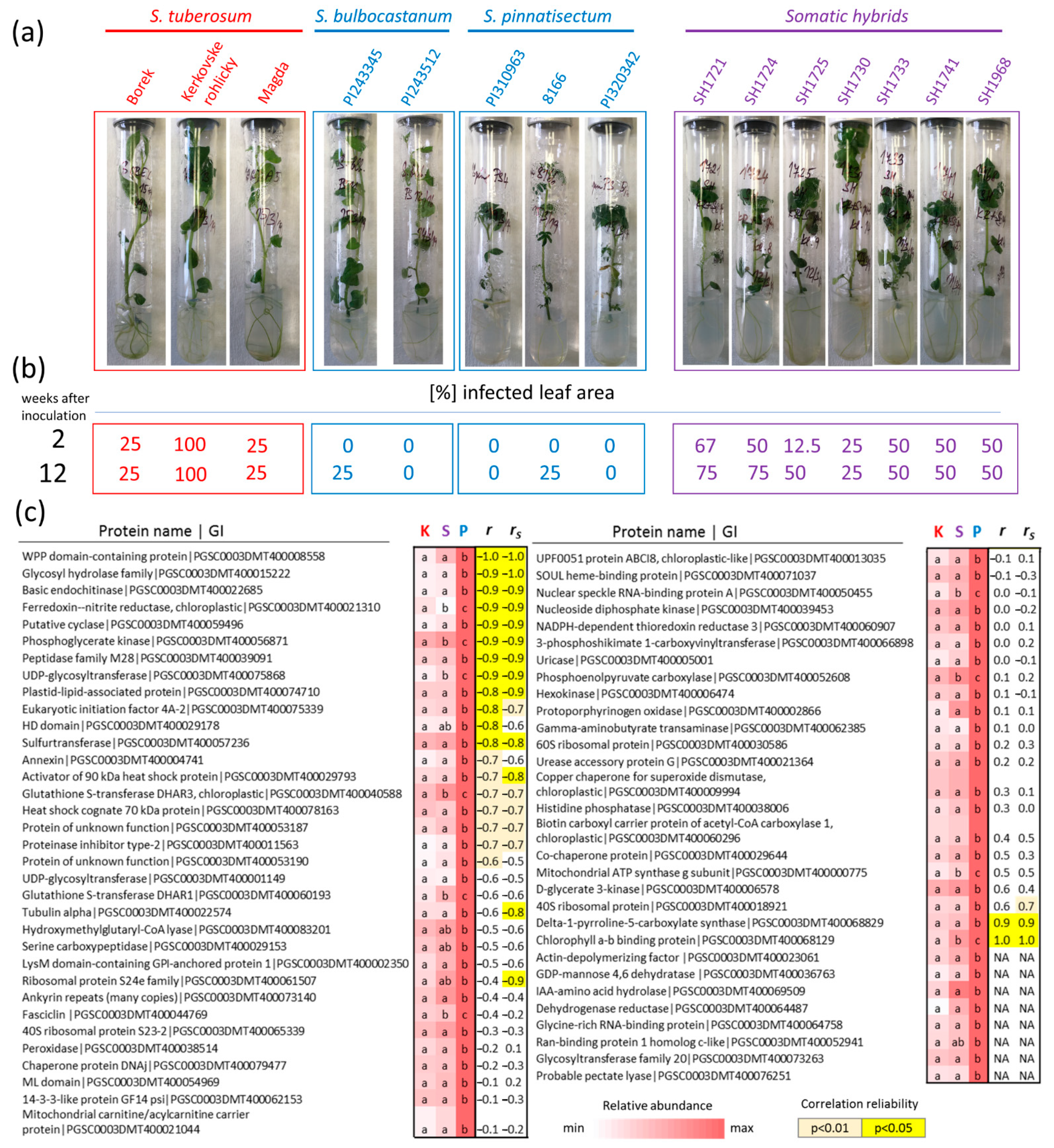 Plants 11 00061 g007