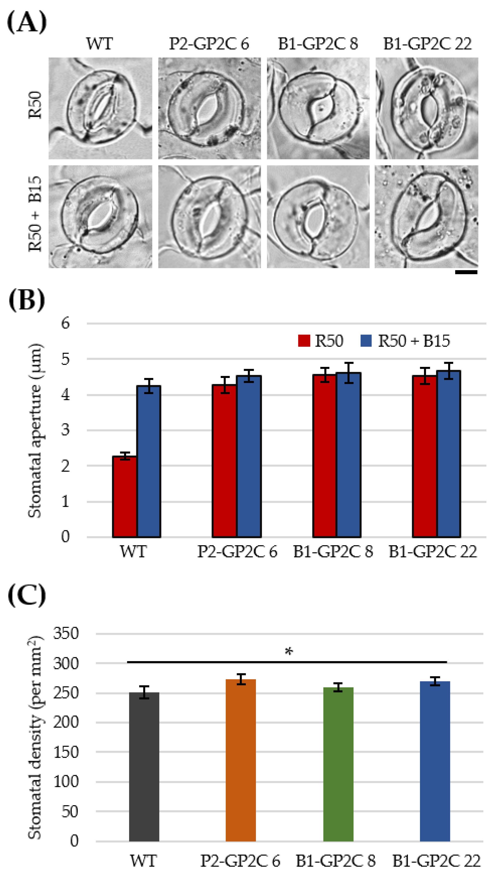 Plants 11 00065 g005