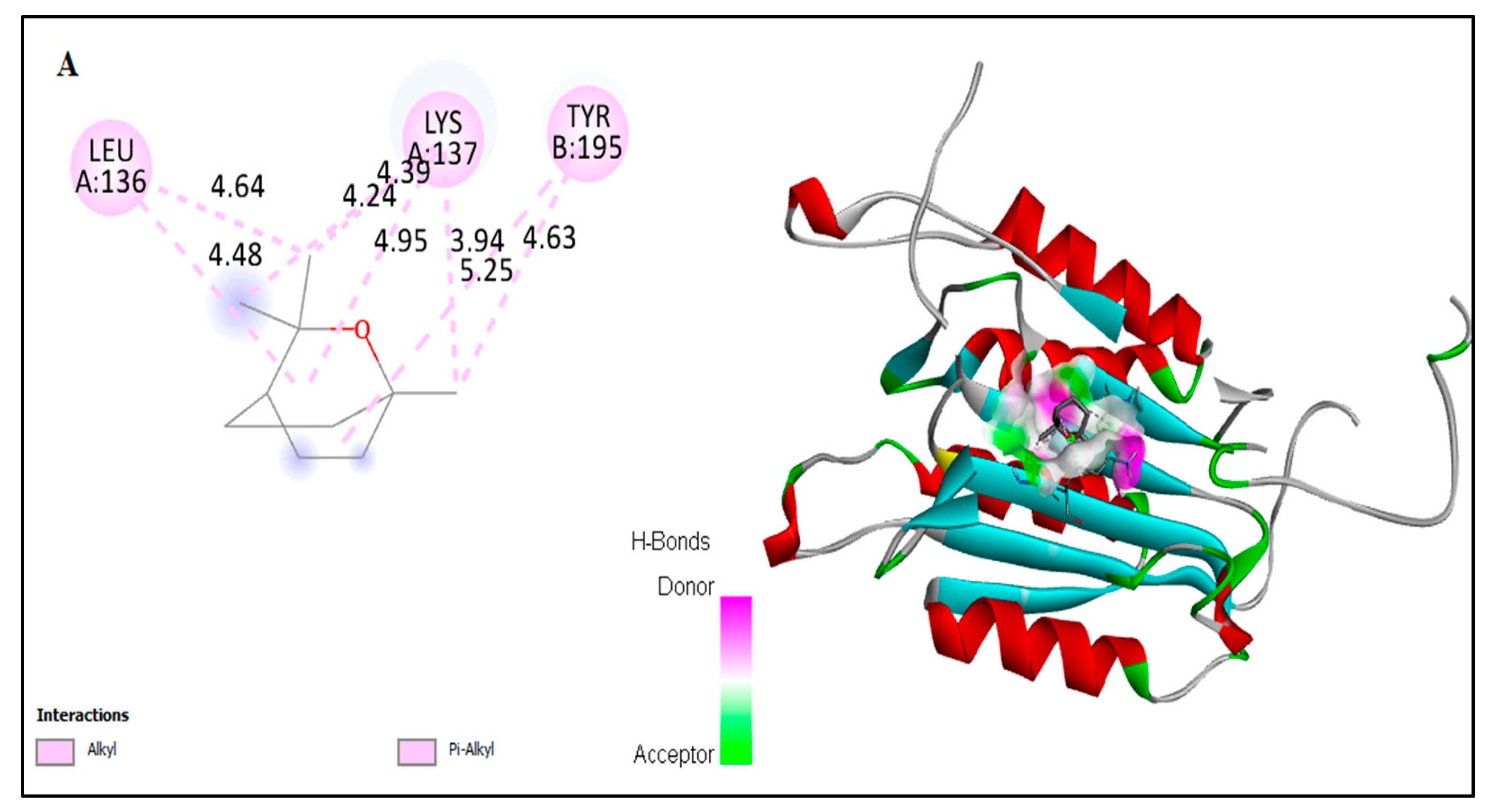Plants 11 00066 g007a