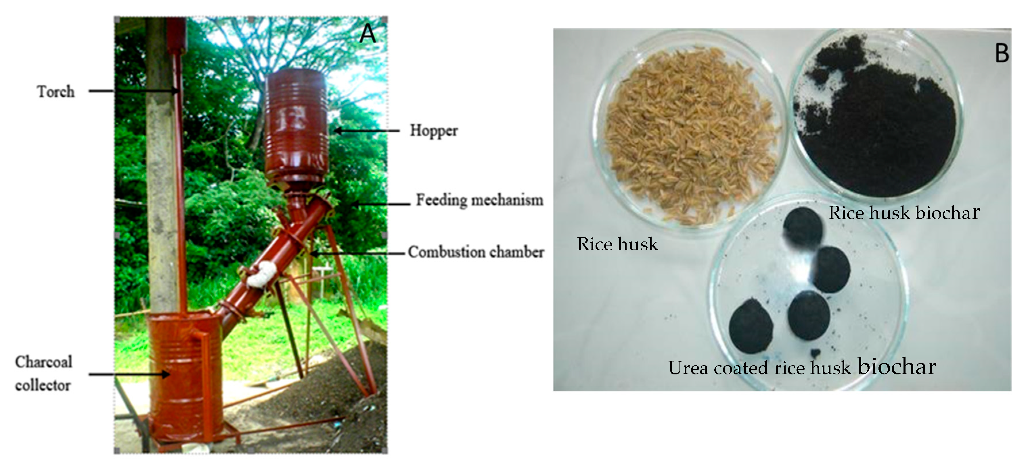 Plants 11 00075 g006 Plants 11 00075 g006