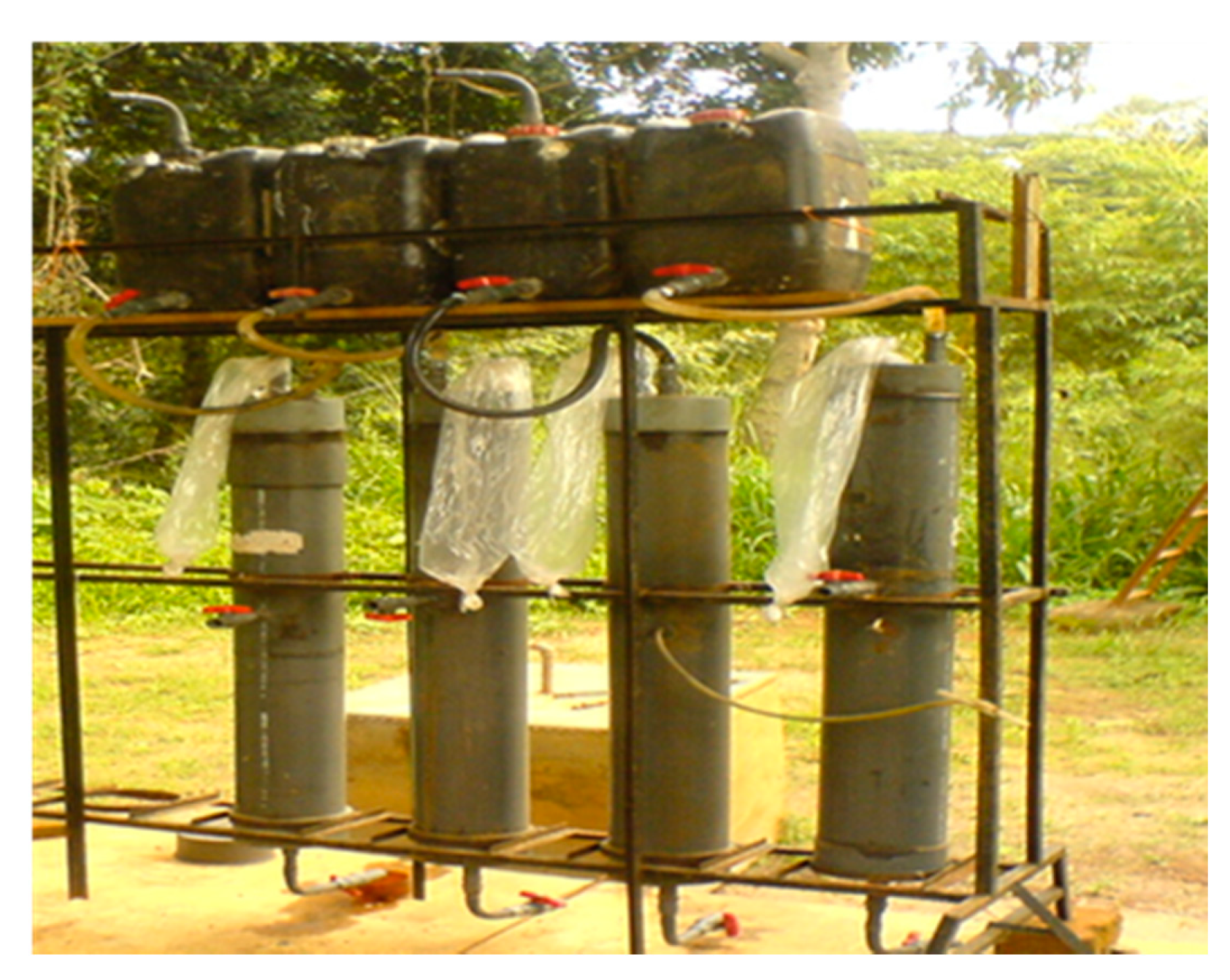 Plants 11 00075 g007 Plants 11 00075 g007