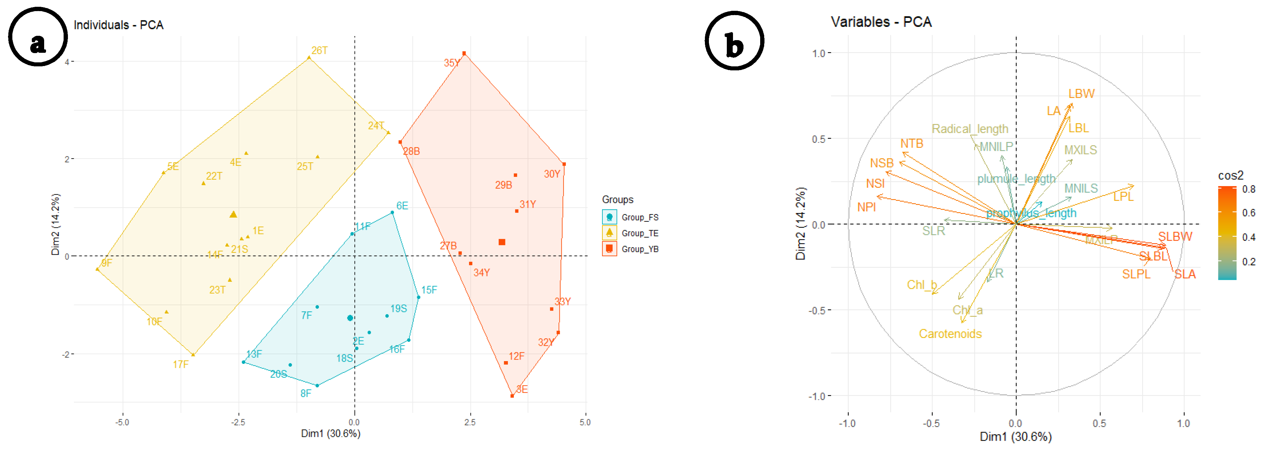 Plants 11 00077 g003