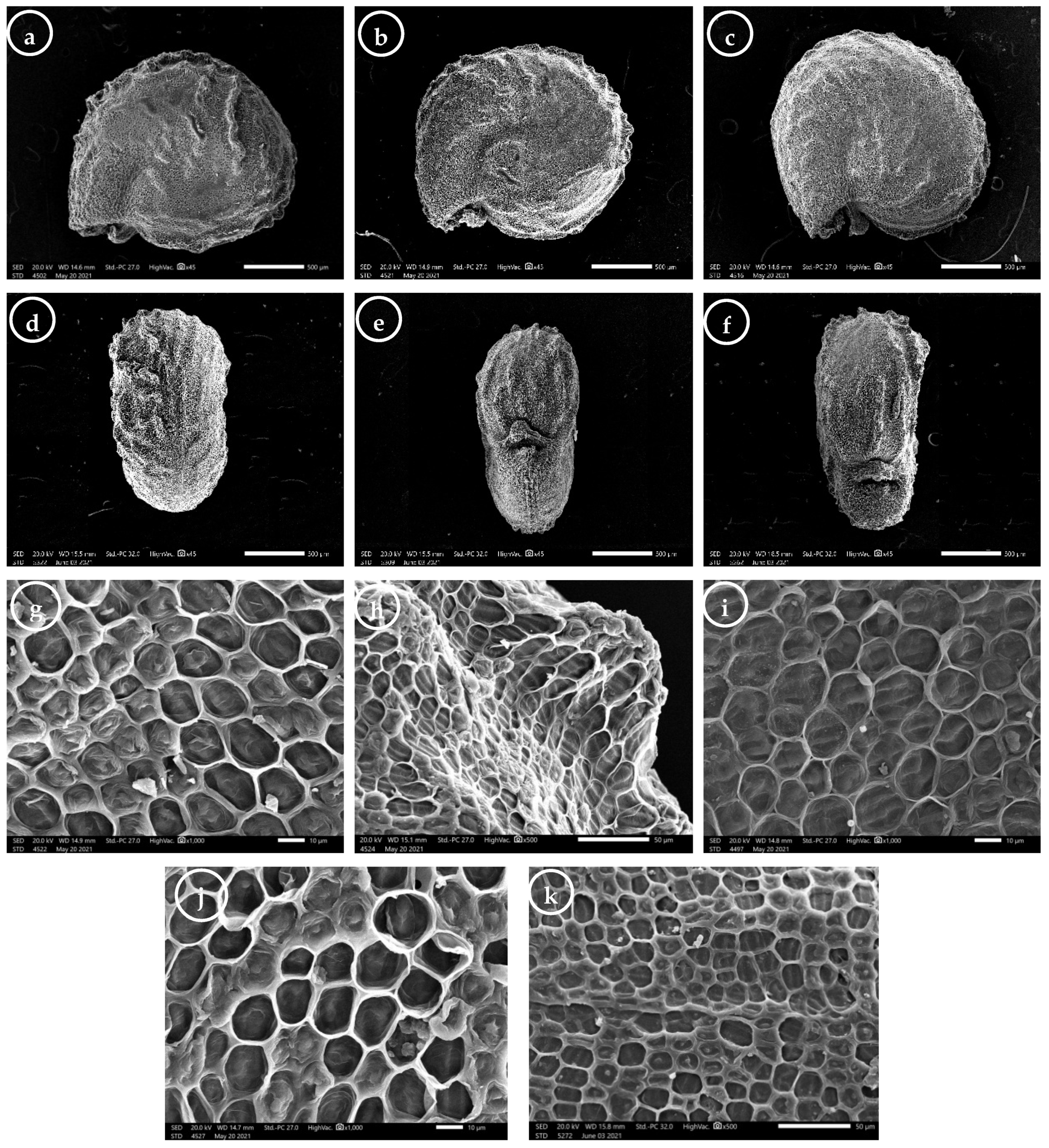 Plants 11 00077 g005