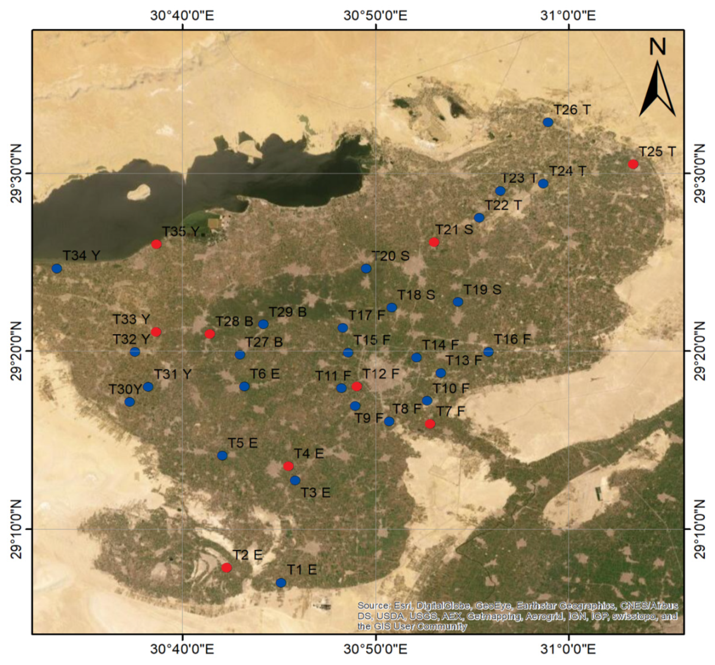 Plants 11 00077 g008