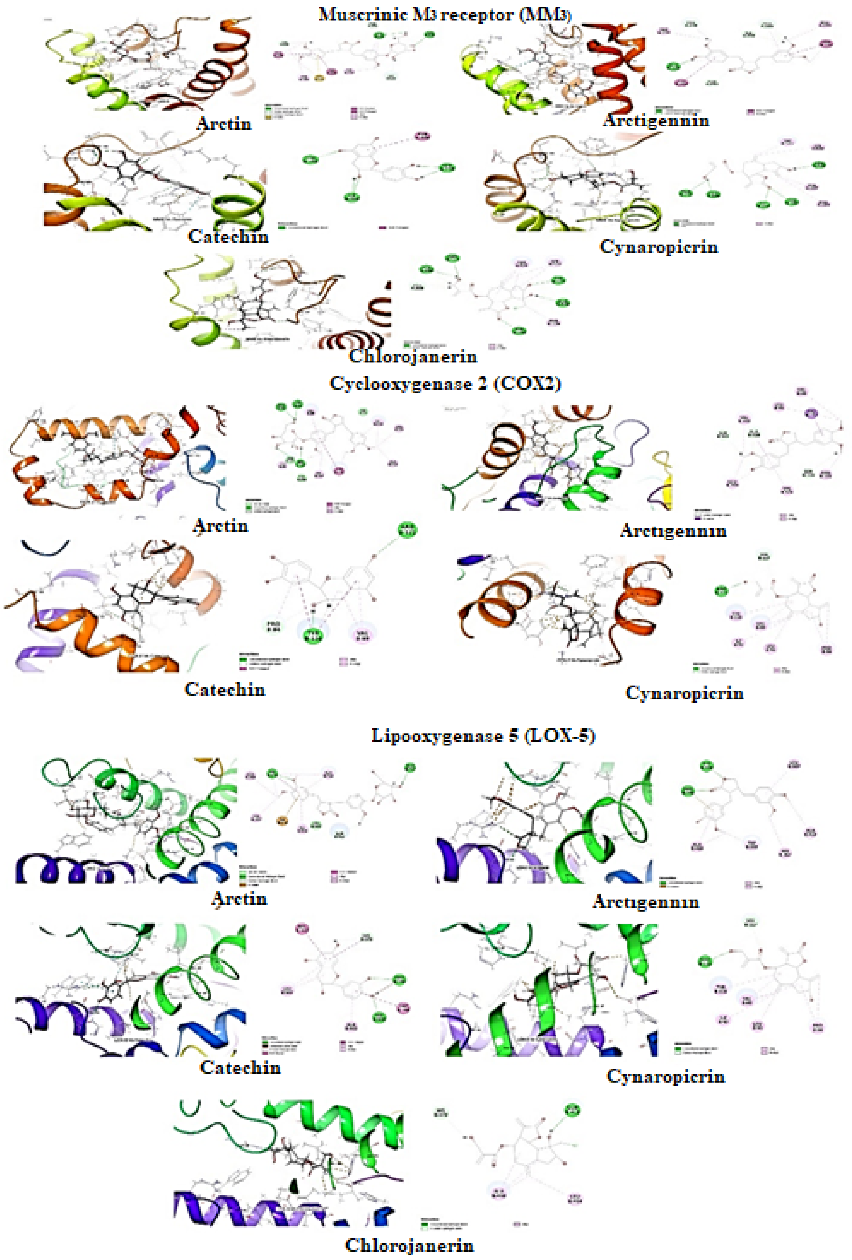 Plants 11 00078 g008 Plants 11 00078 g008