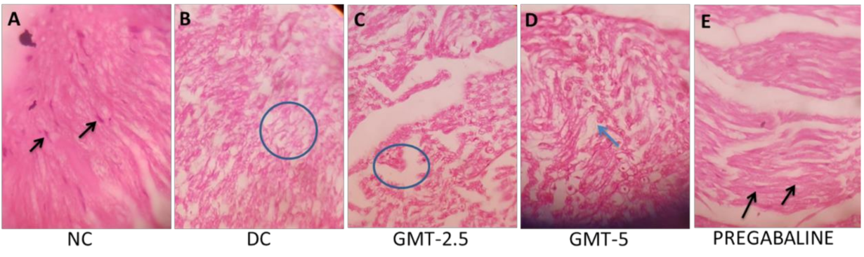 Plants 11 00080 g002 Plants 11 00080 g002