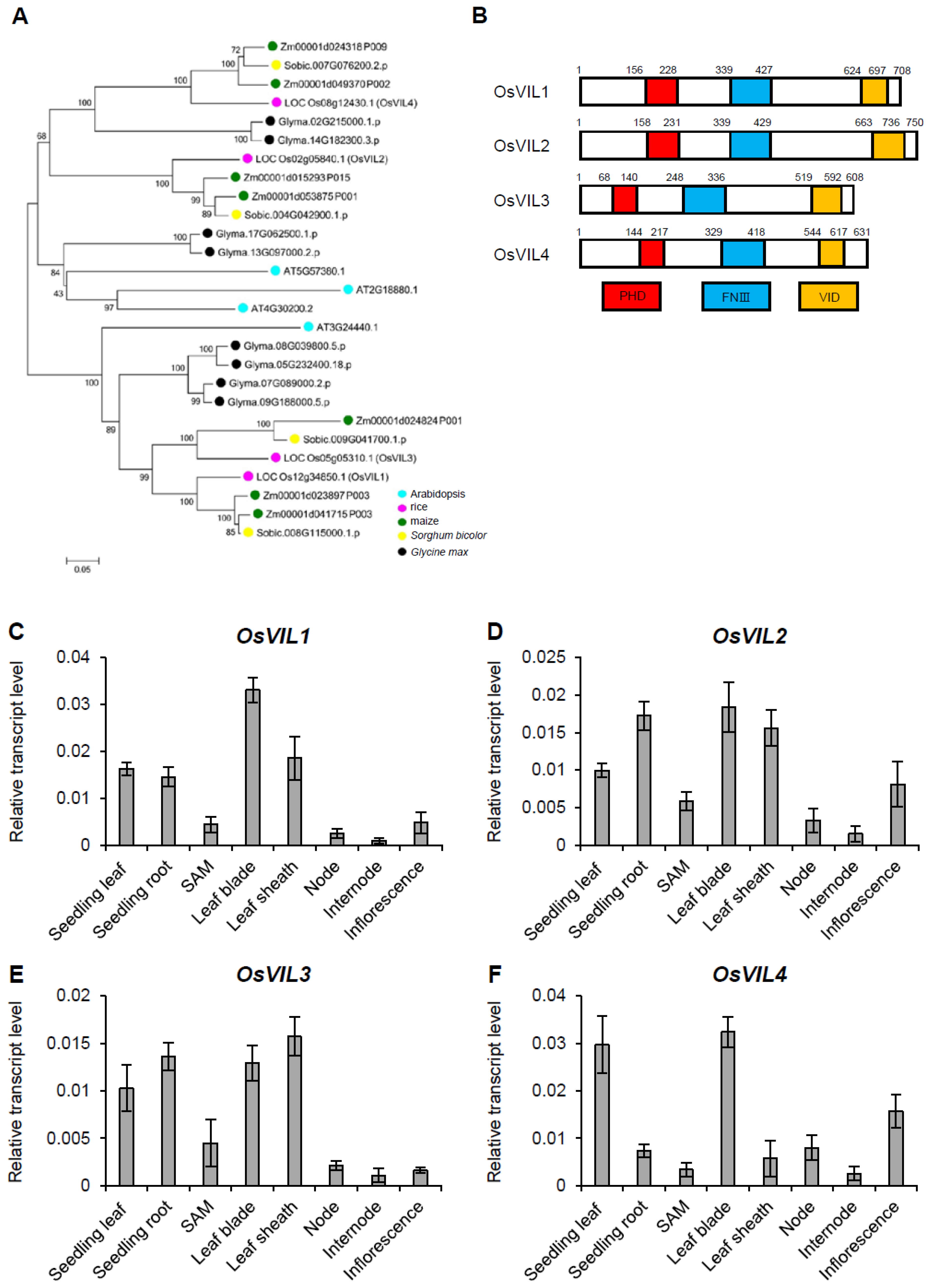 Plants 11 00083 g001