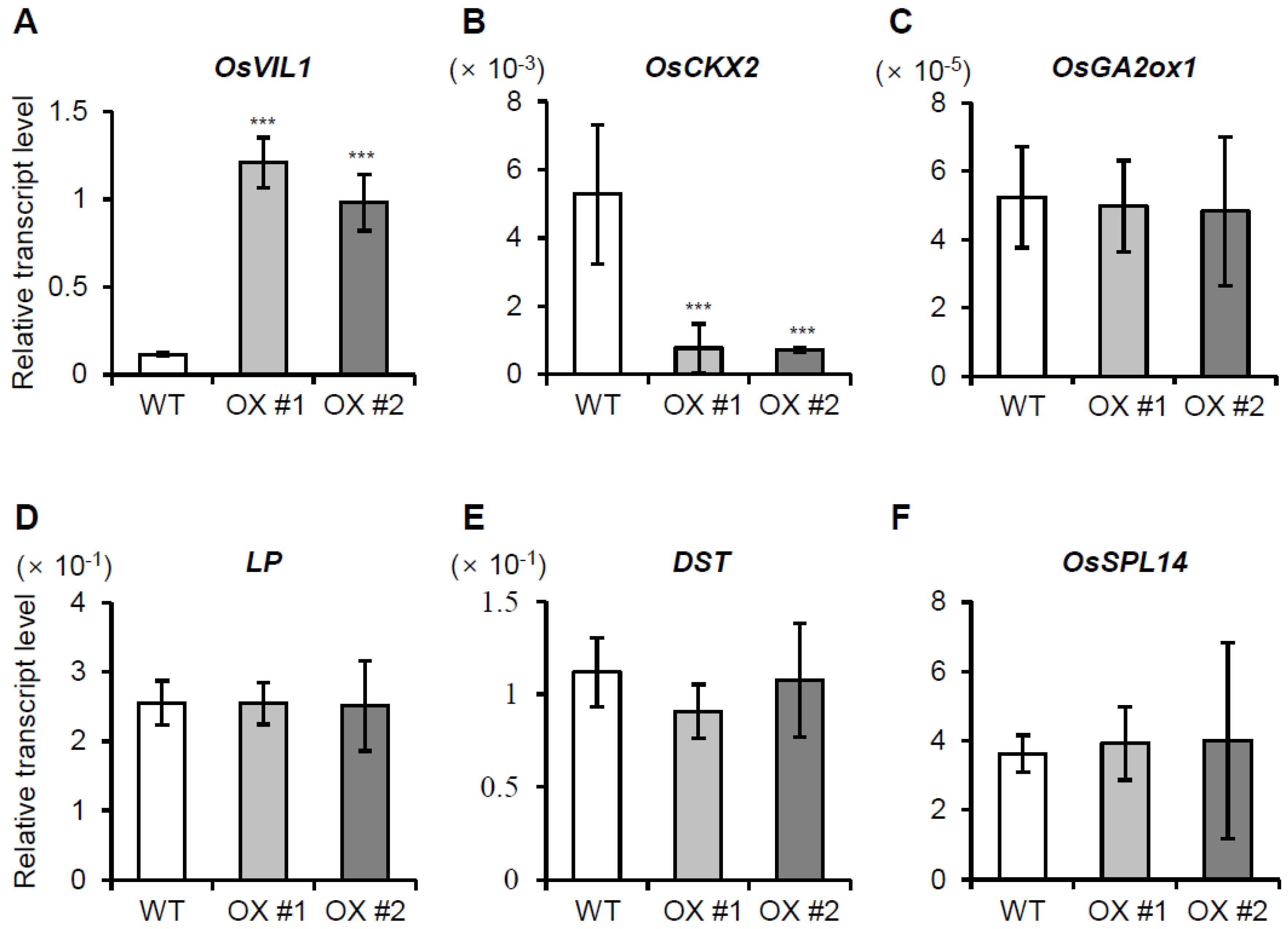 Plants 11 00083 g006