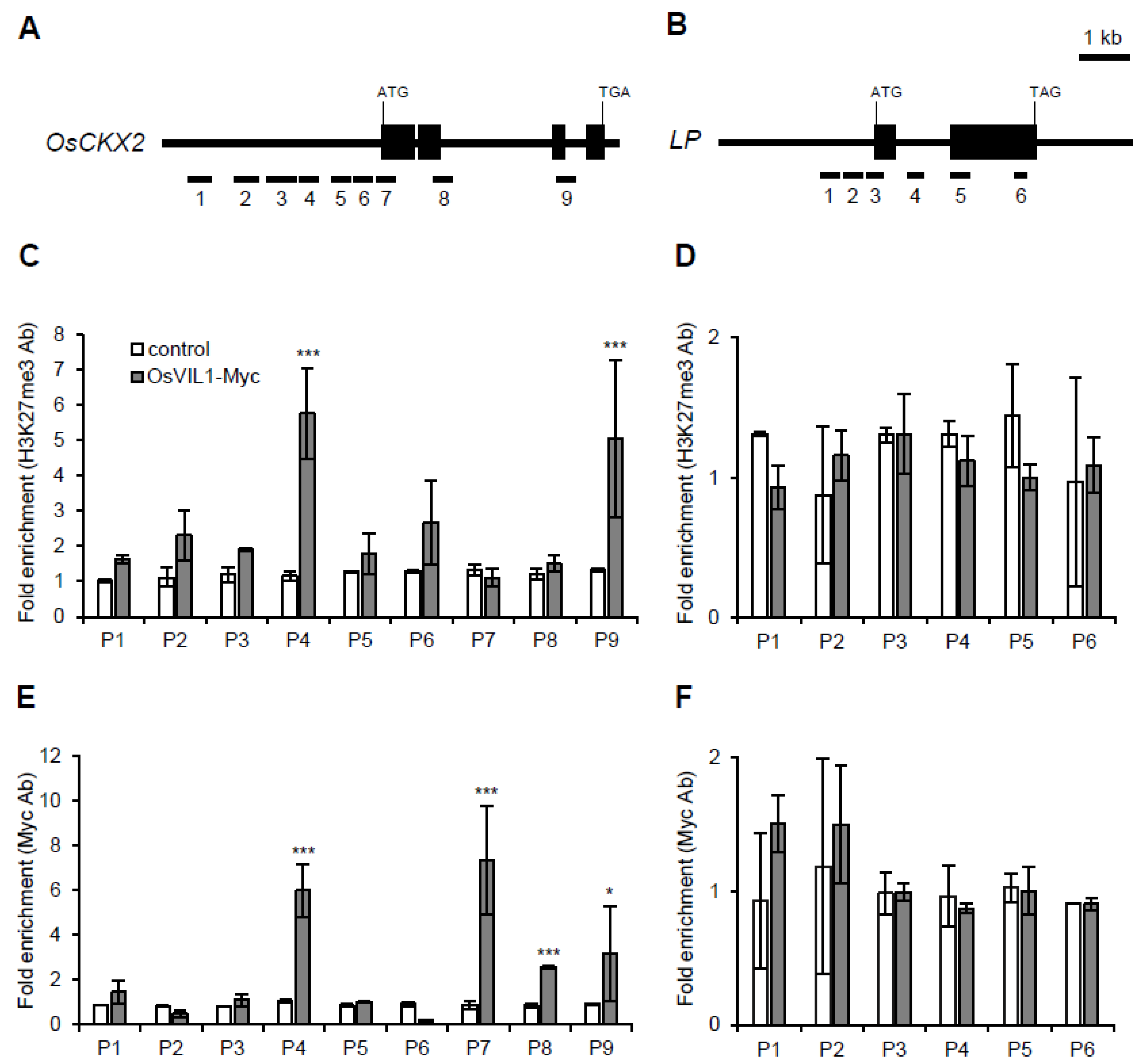 Plants 11 00083 g007