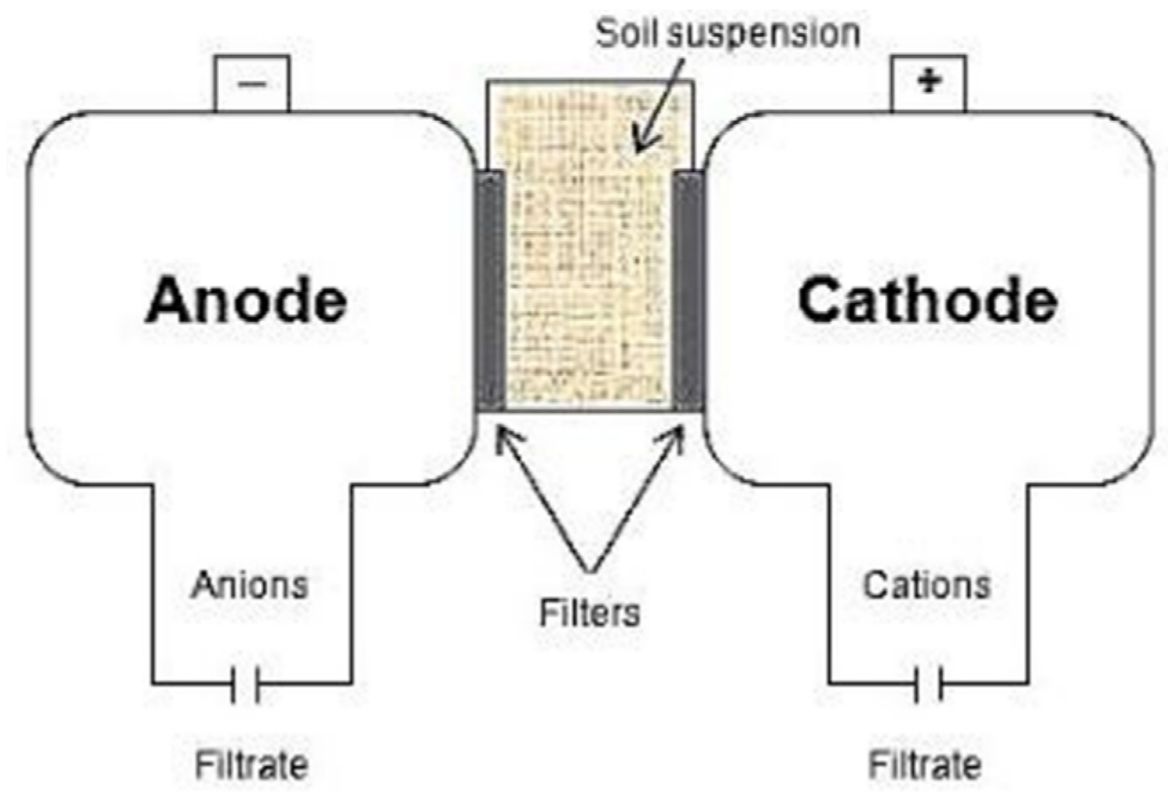 Plants 11 00085 g001