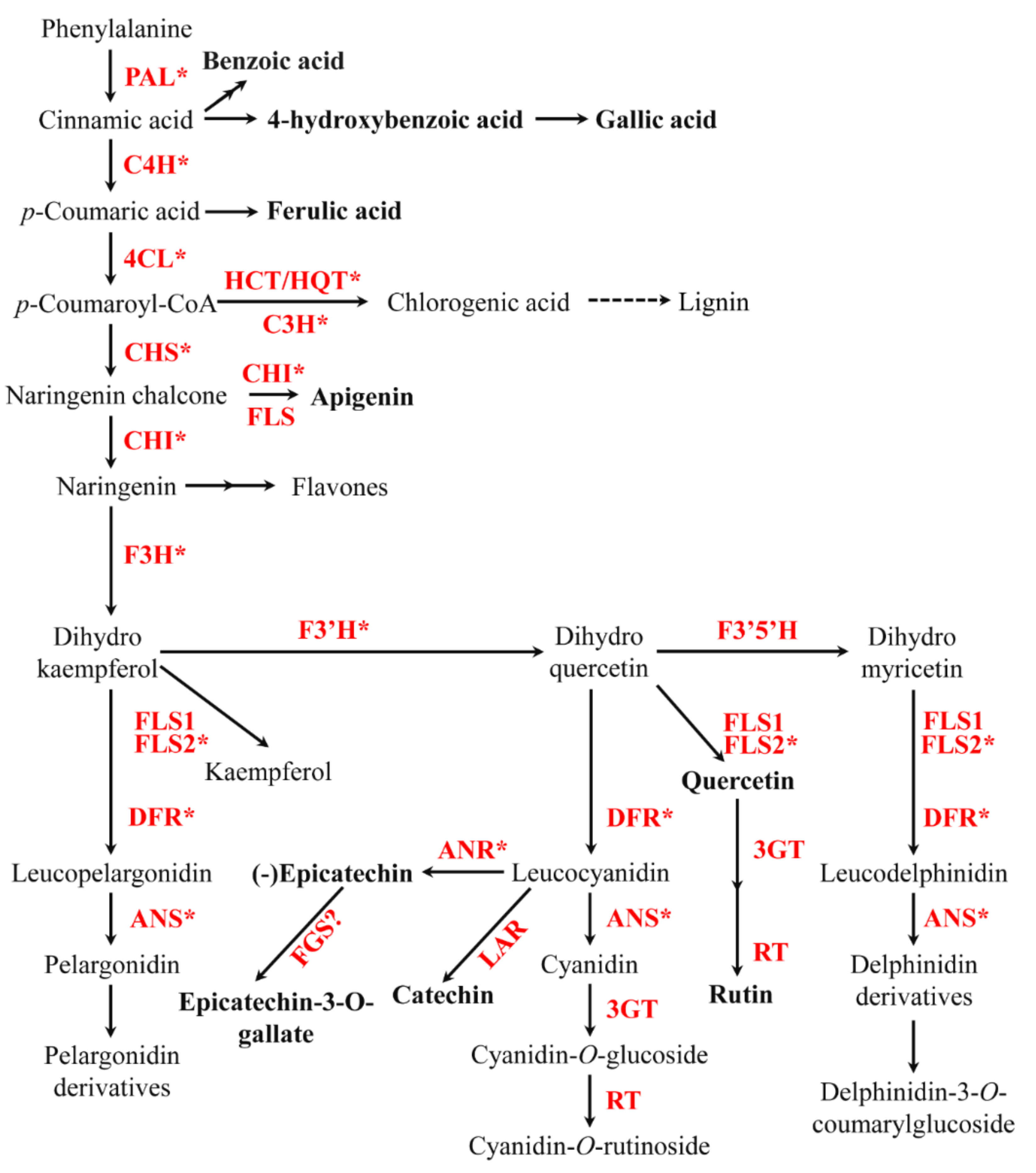 Plants 11 00090 g001
