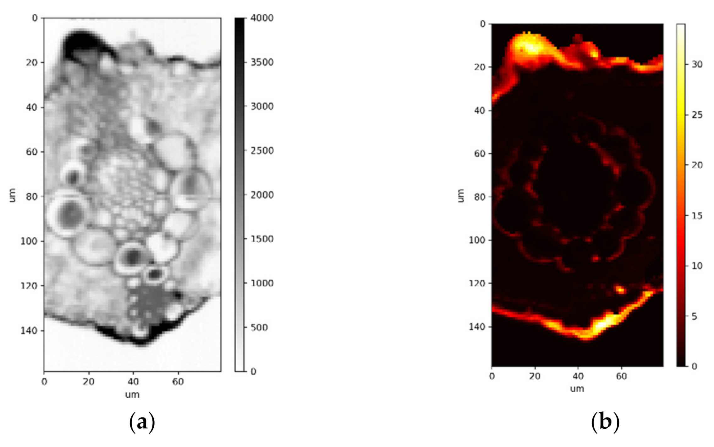 Plants 11 00091 g001a 550