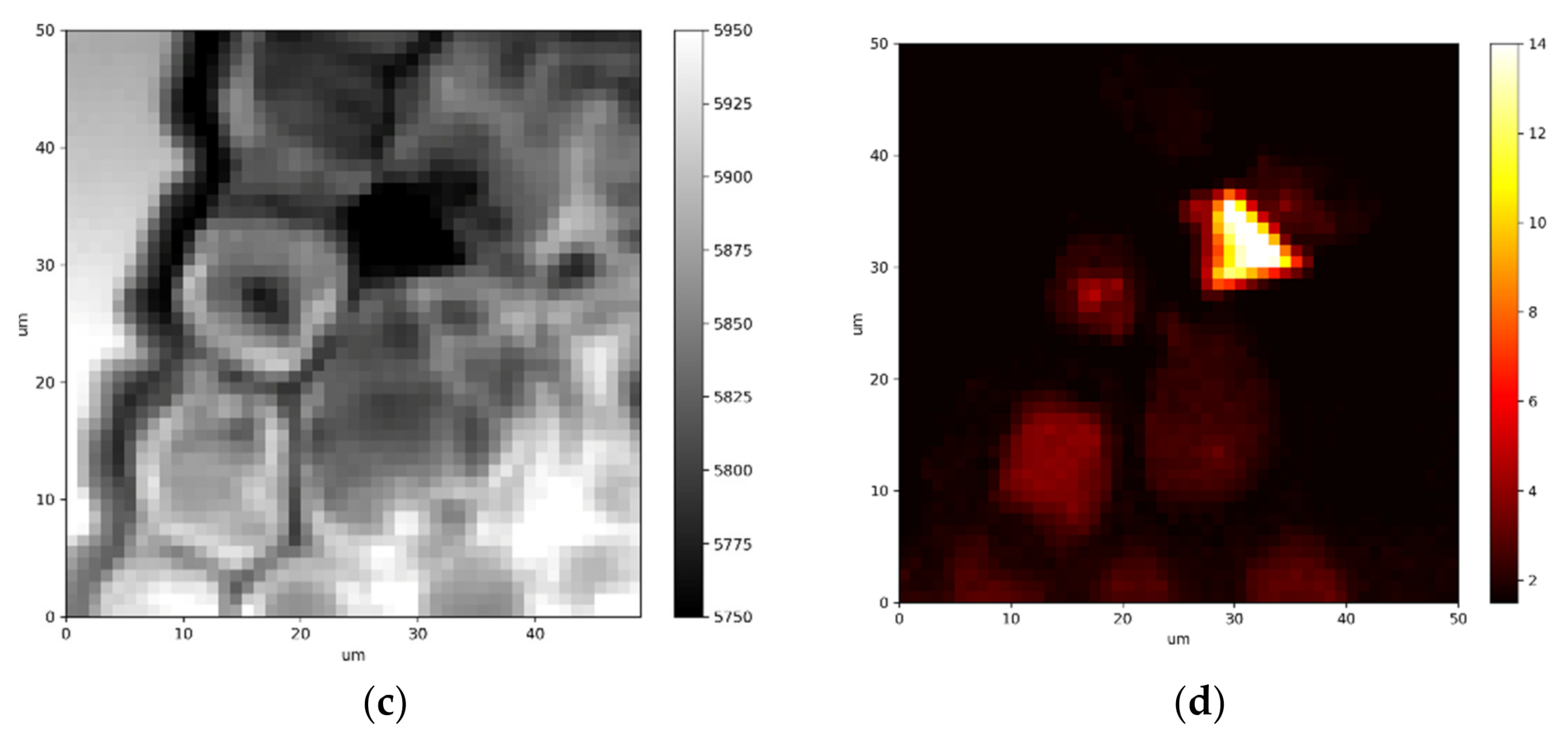 Plants 11 00091 g001b 550