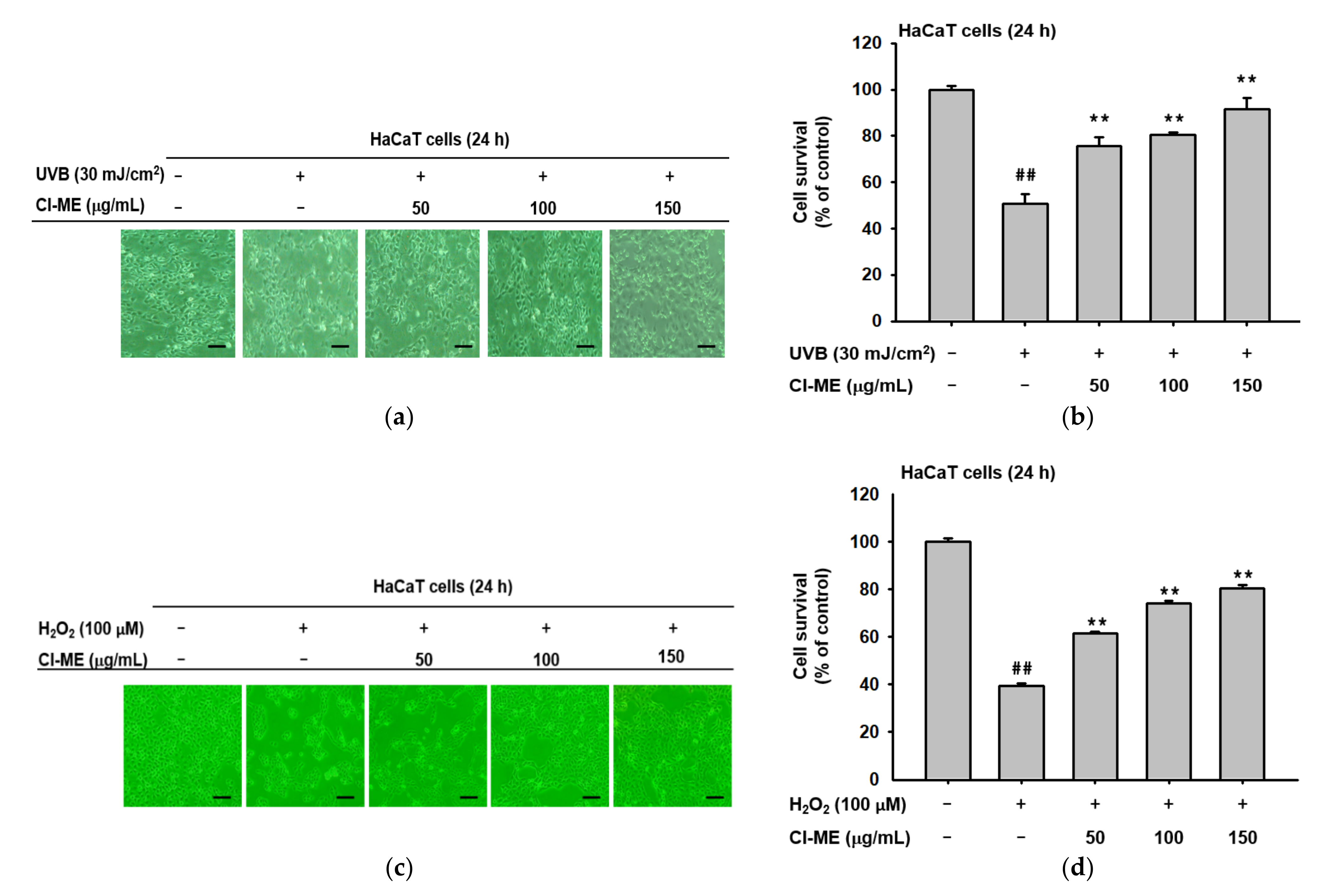 Plants 11 00094 g002a Plants 11 00094 g002a