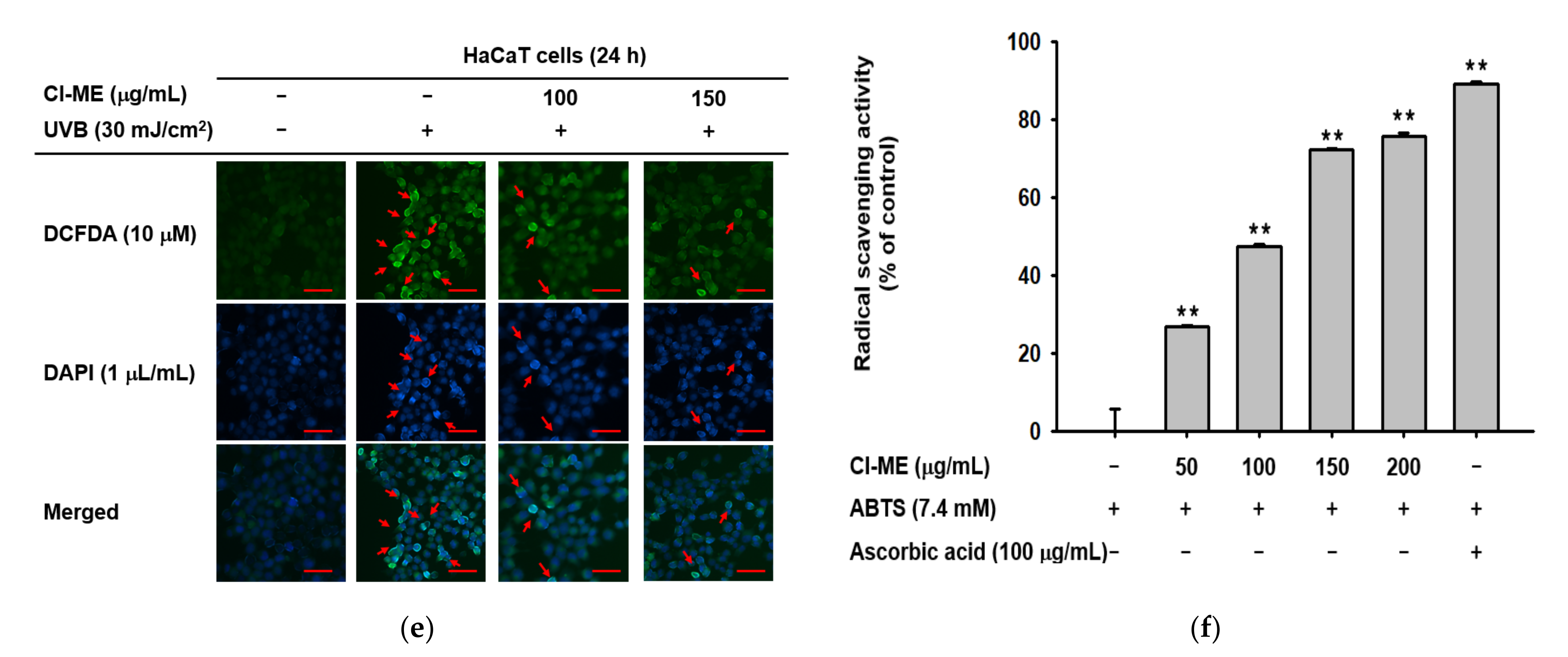 Plants 11 00094 g002b Plants 11 00094 g002b