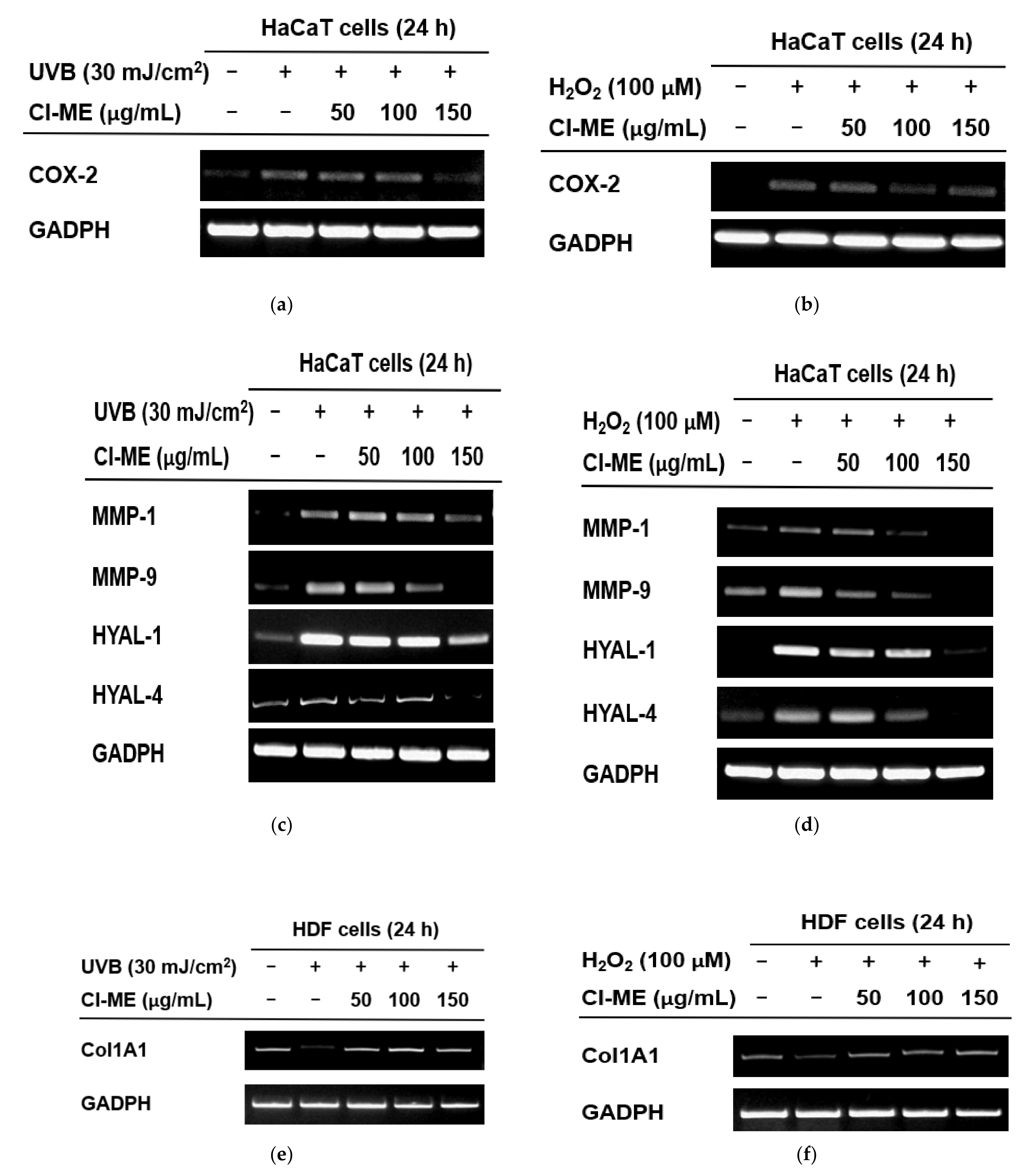 Plants 11 00094 g003a Plants 11 00094 g003a