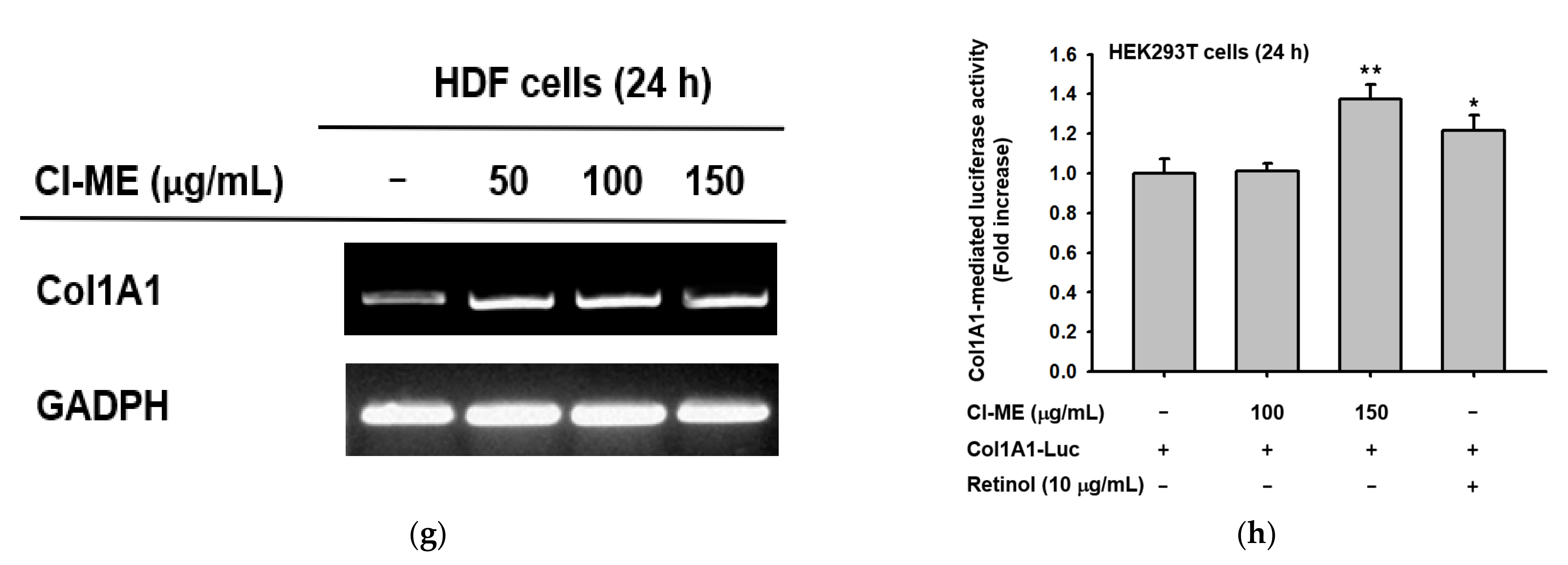 Plants 11 00094 g003b Plants 11 00094 g003b