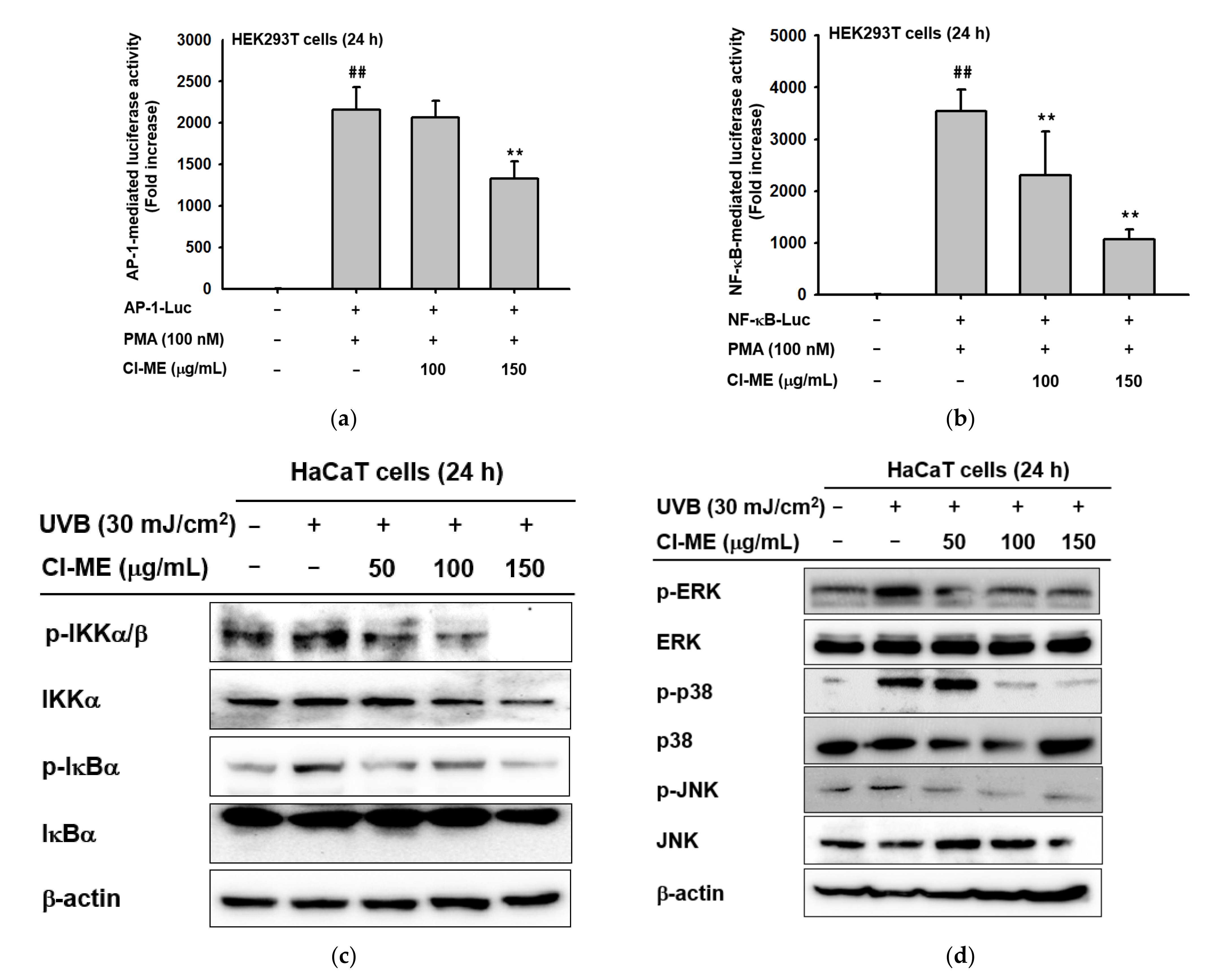Plants 11 00094 g004 Plants 11 00094 g004