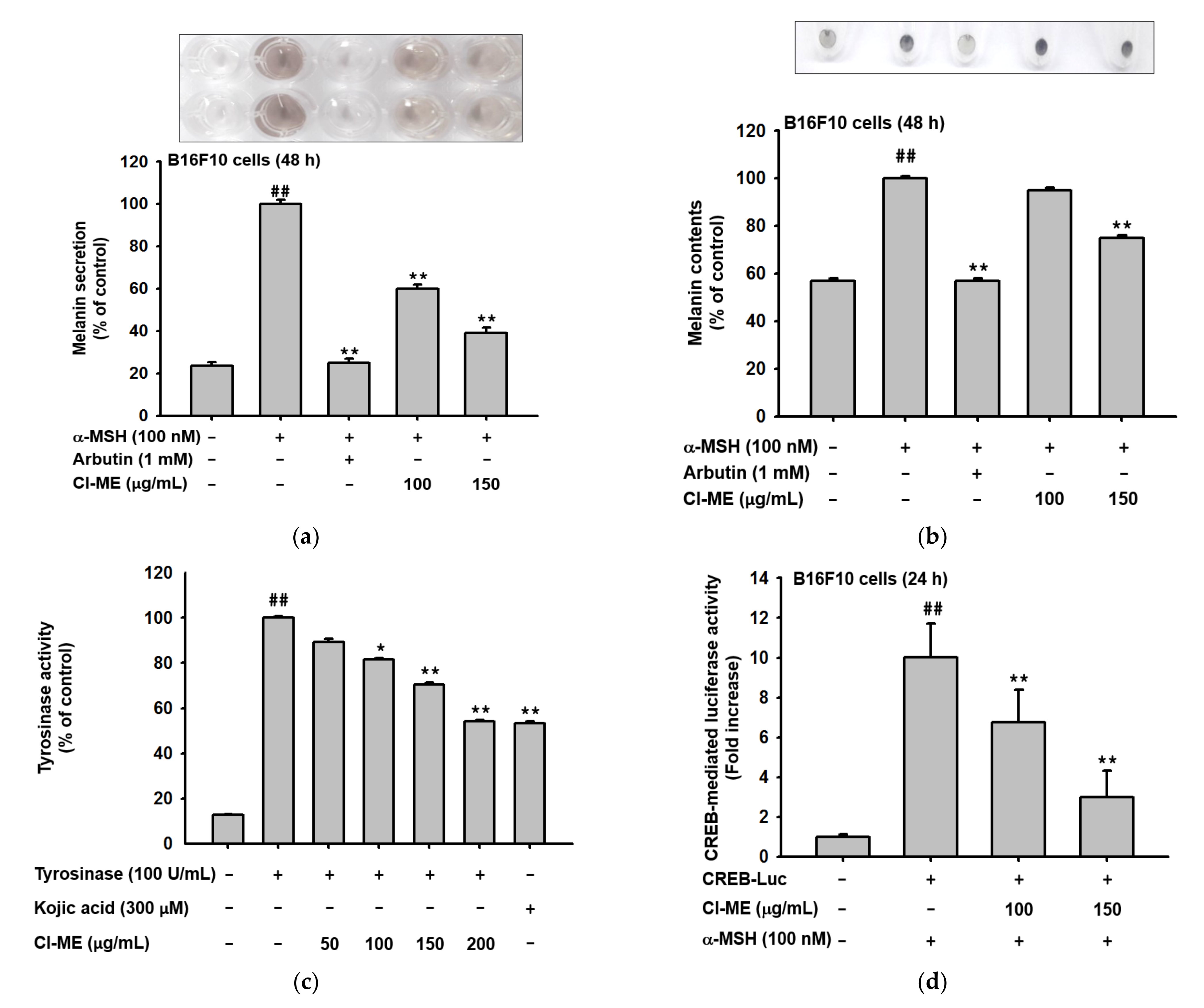 Plants 11 00094 g005a Plants 11 00094 g005a