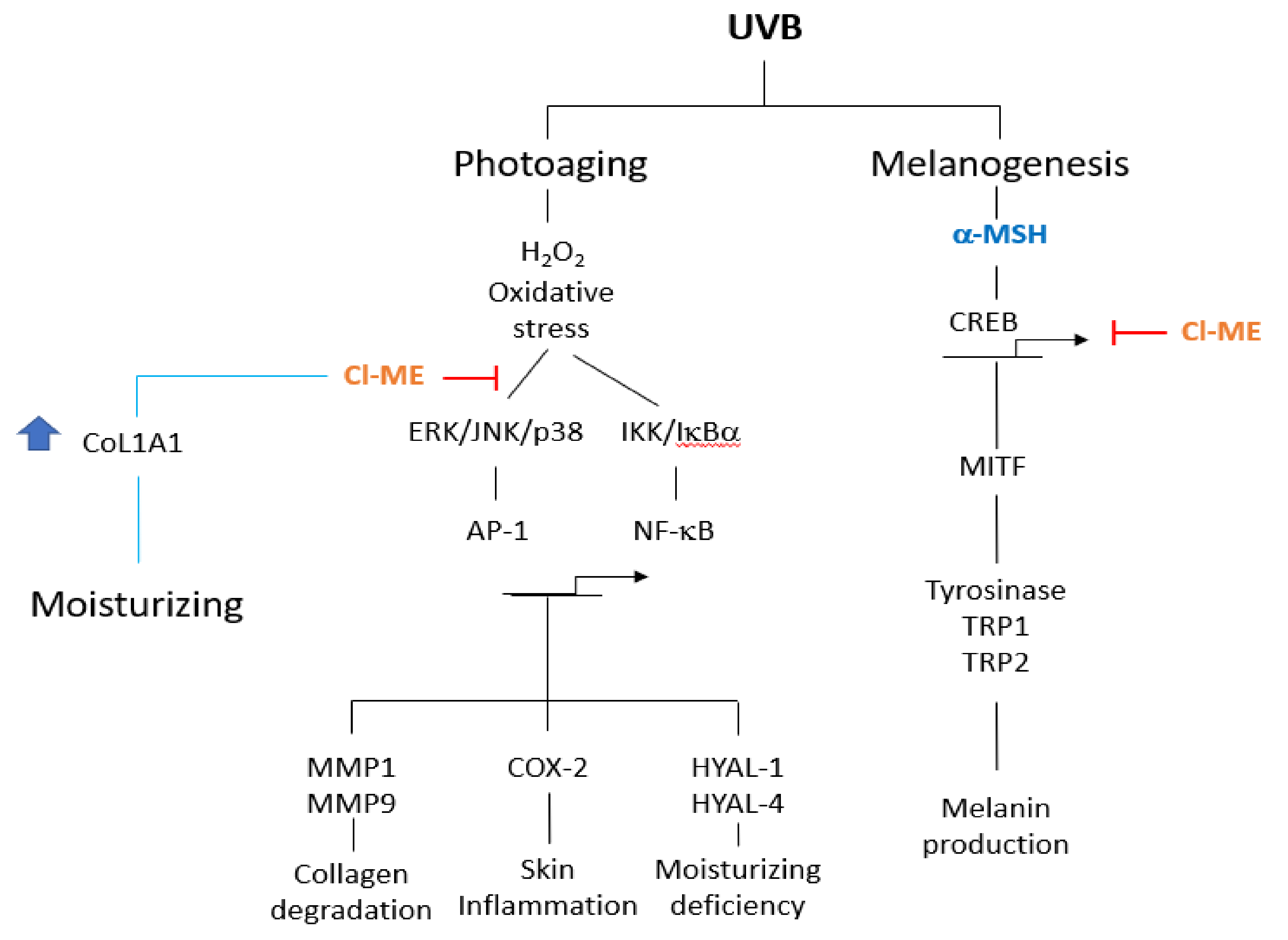 Plants 11 00094 g006 Plants 11 00094 g006